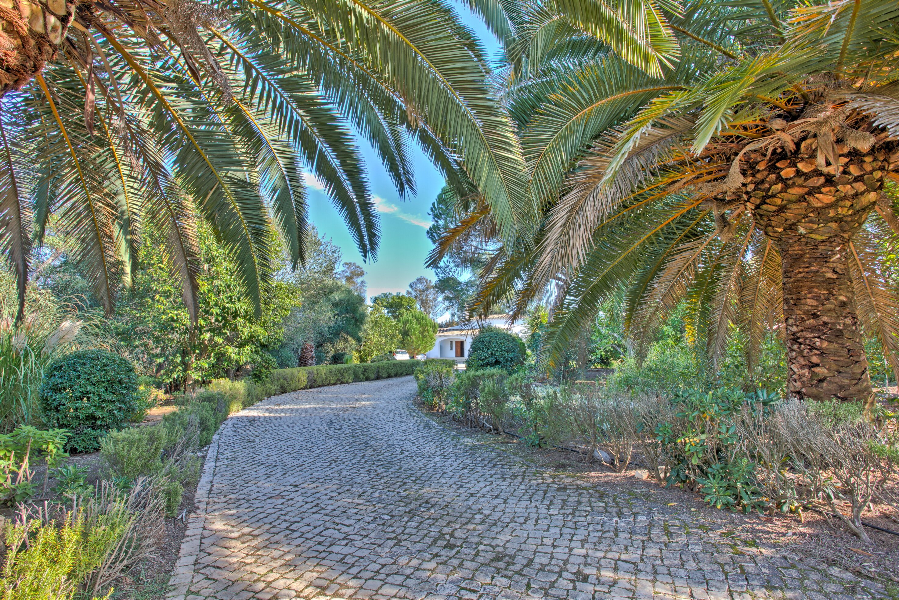 Casa Jacaranda - Image 20