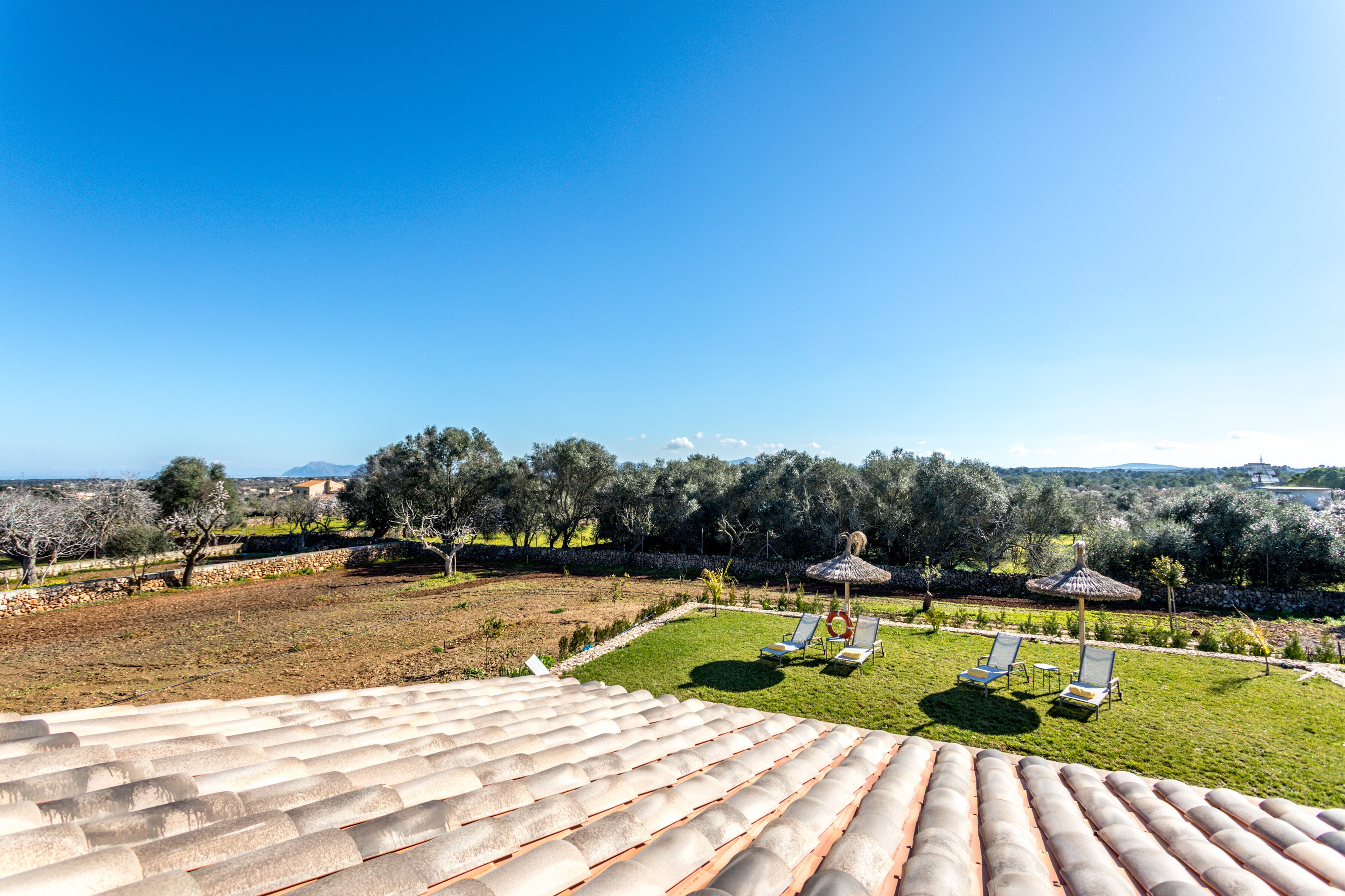 La Higuera - Image 14