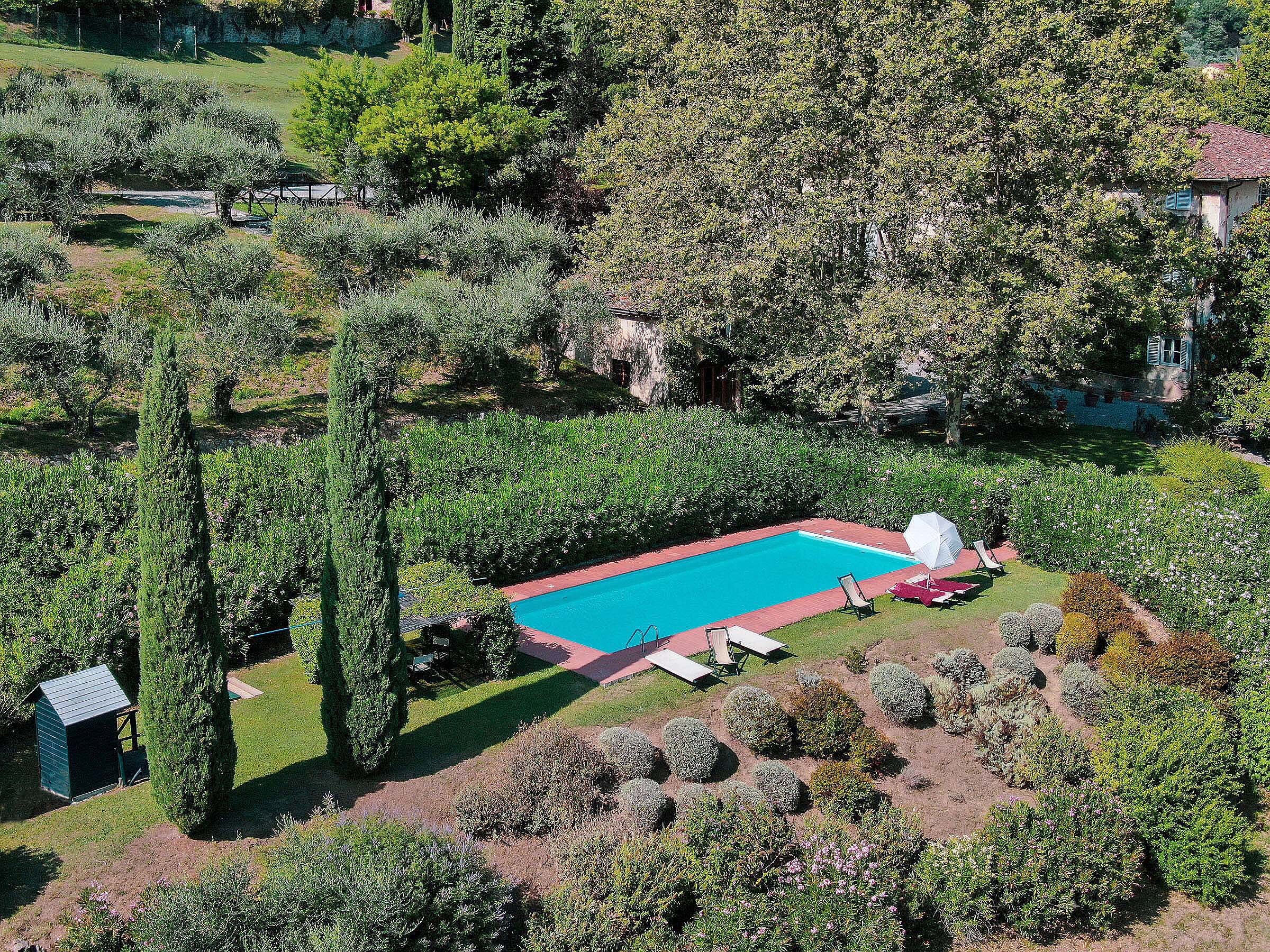 Villa Valgiano - Image 20