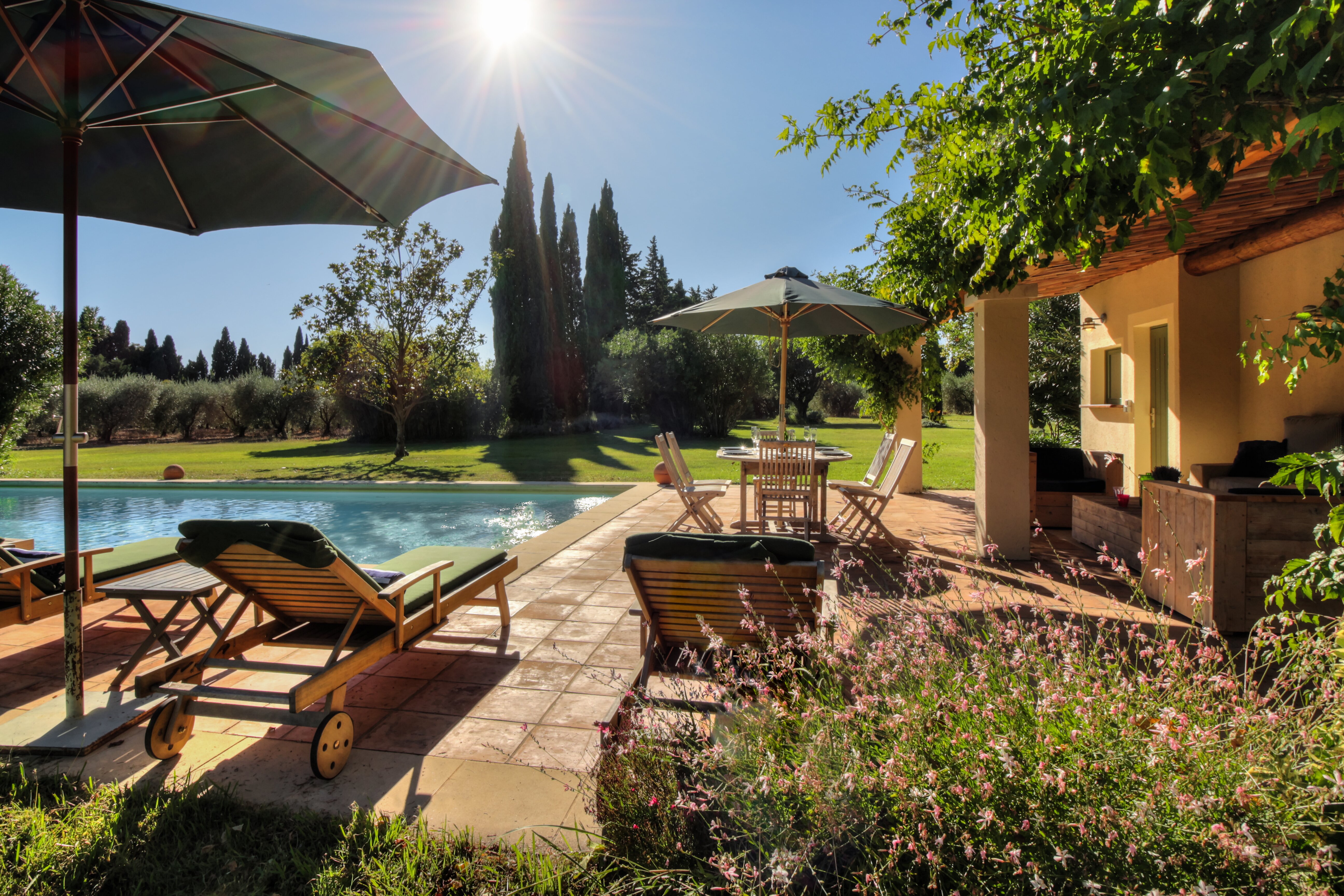 Mas des Oliviers - Image 3