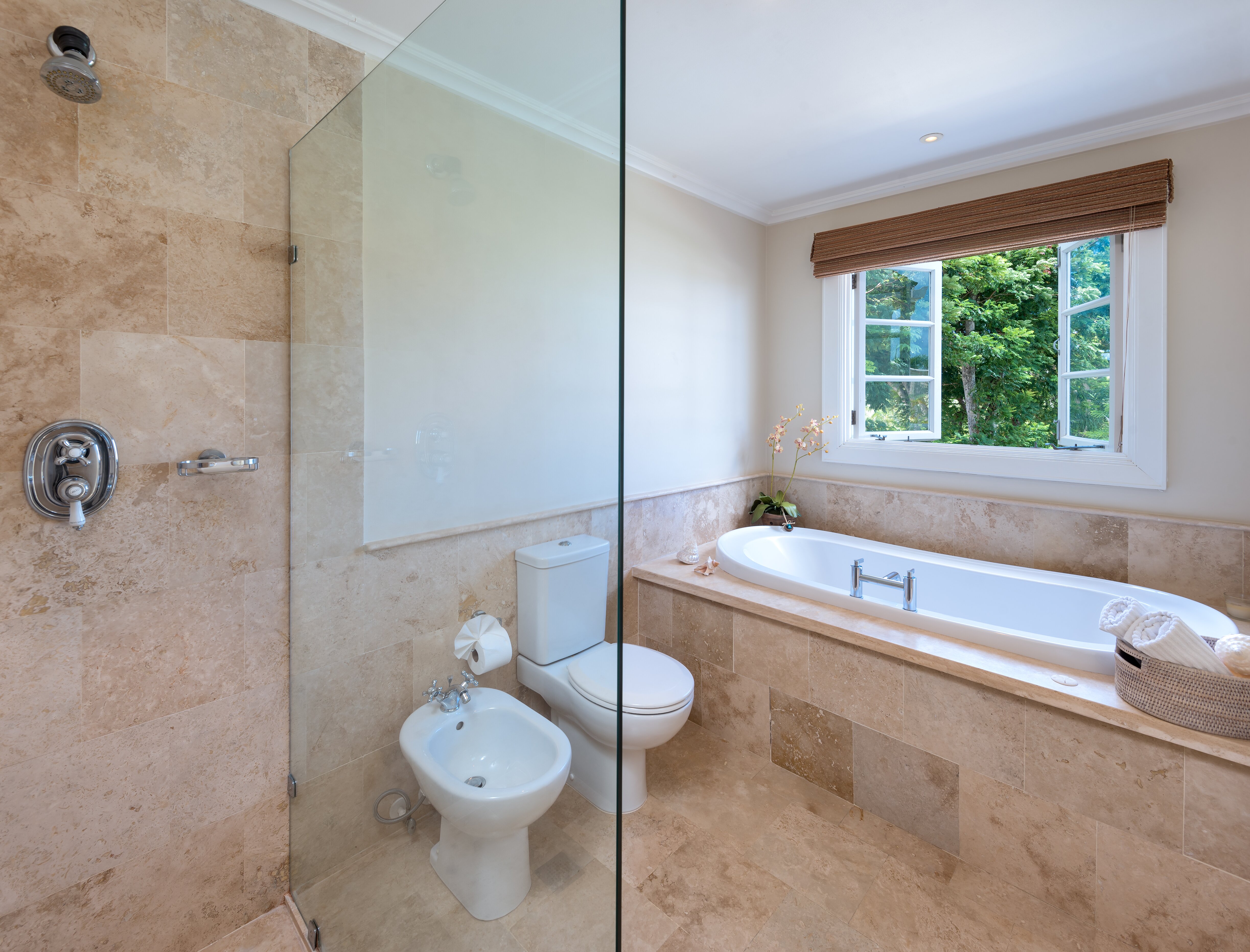 Coconut Bay - Image 10