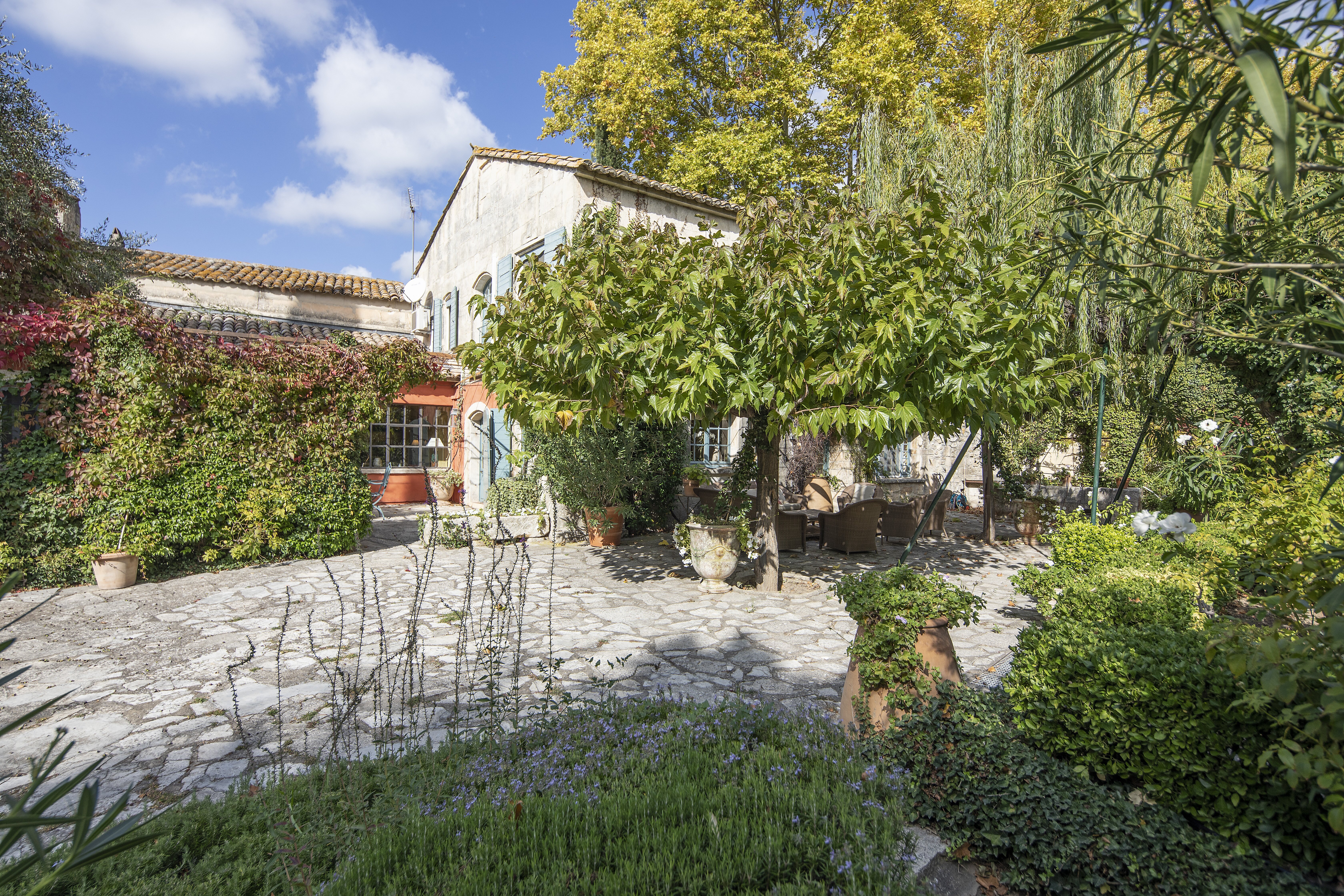 Maison du Saule - Image 4