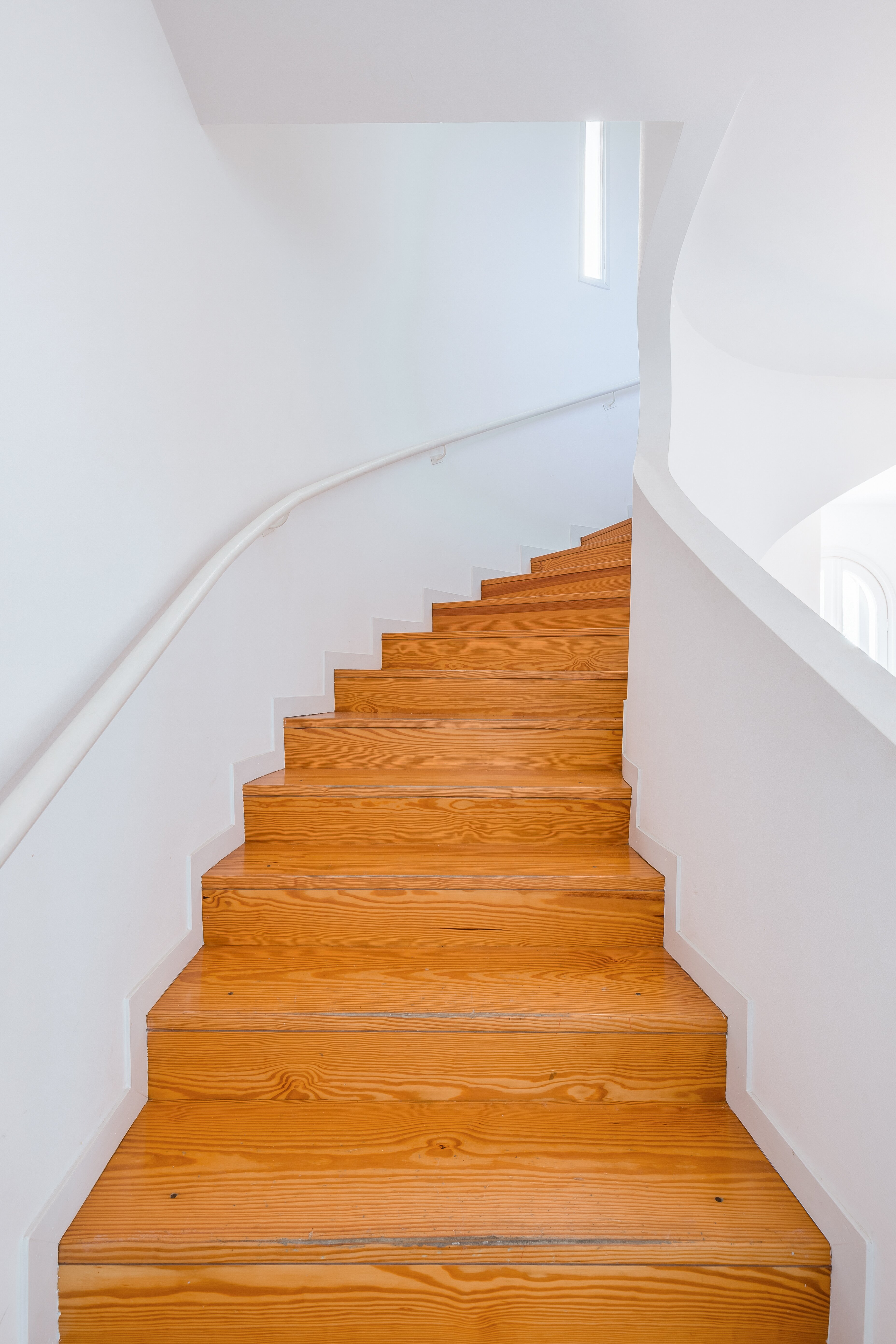 Baia Saracena - Image 12