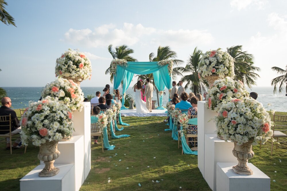 Ani Sri Lanka - Image 4