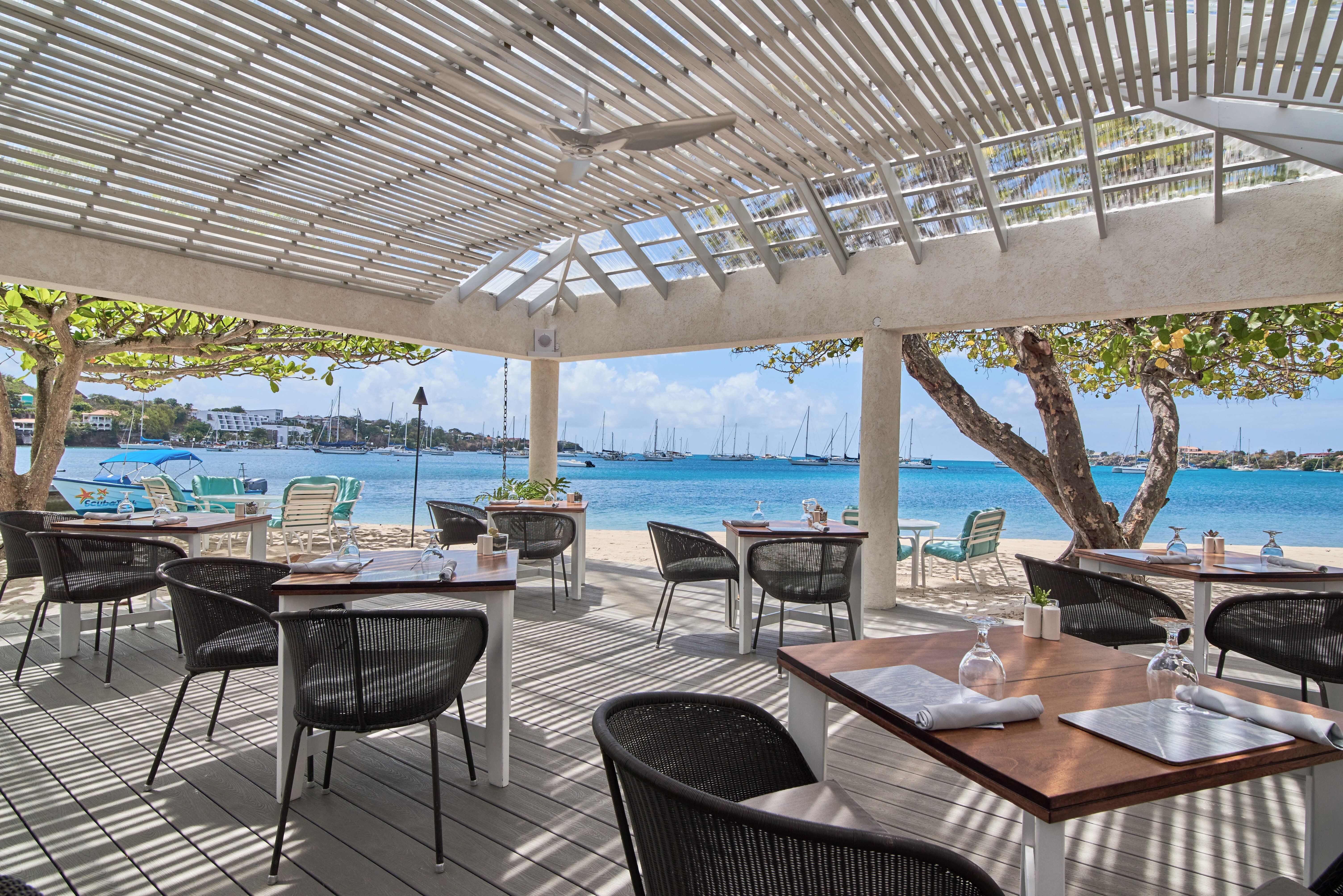 Hummingbird - Image 3