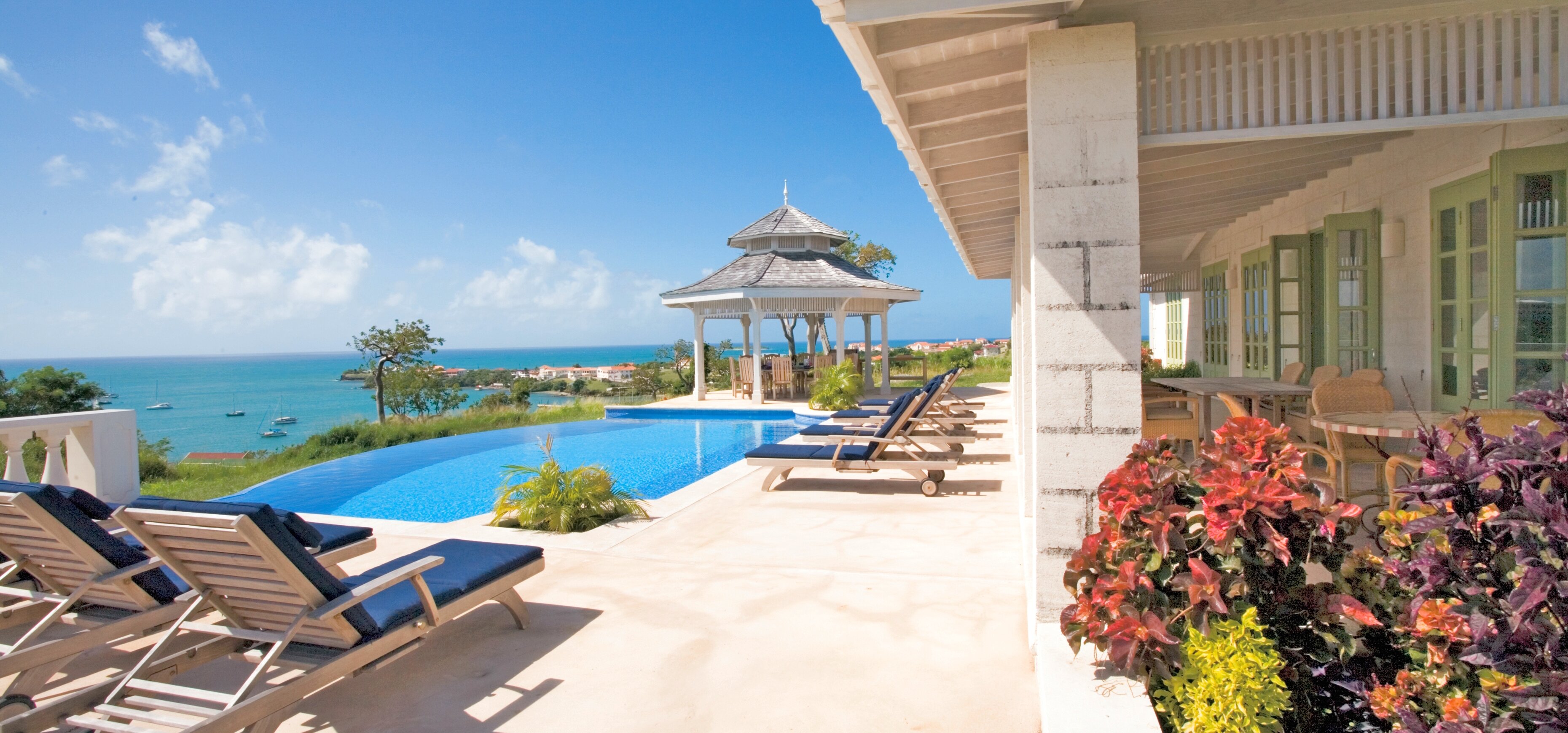 Hummingbird - Image 5