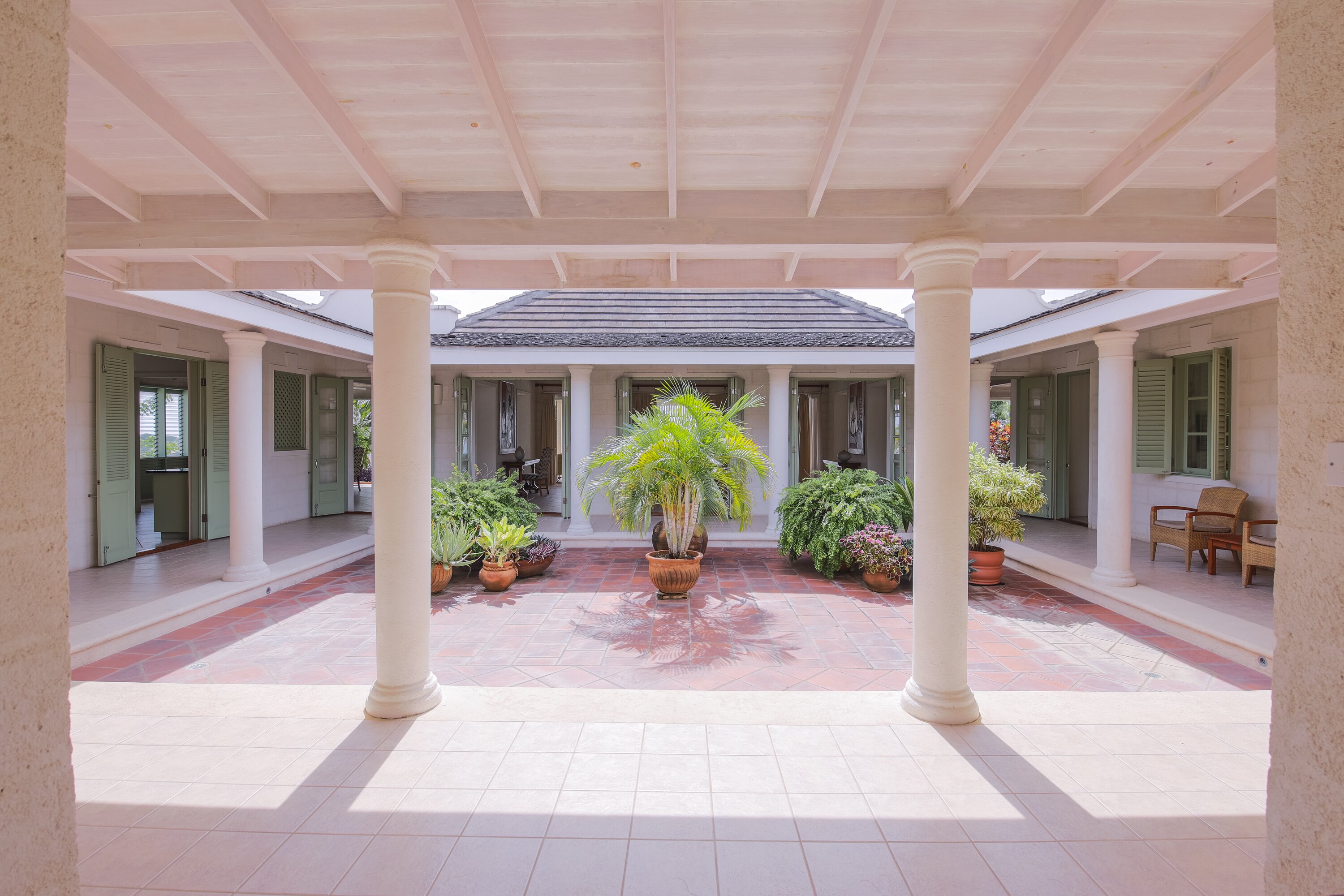 Hummingbird - Image 6