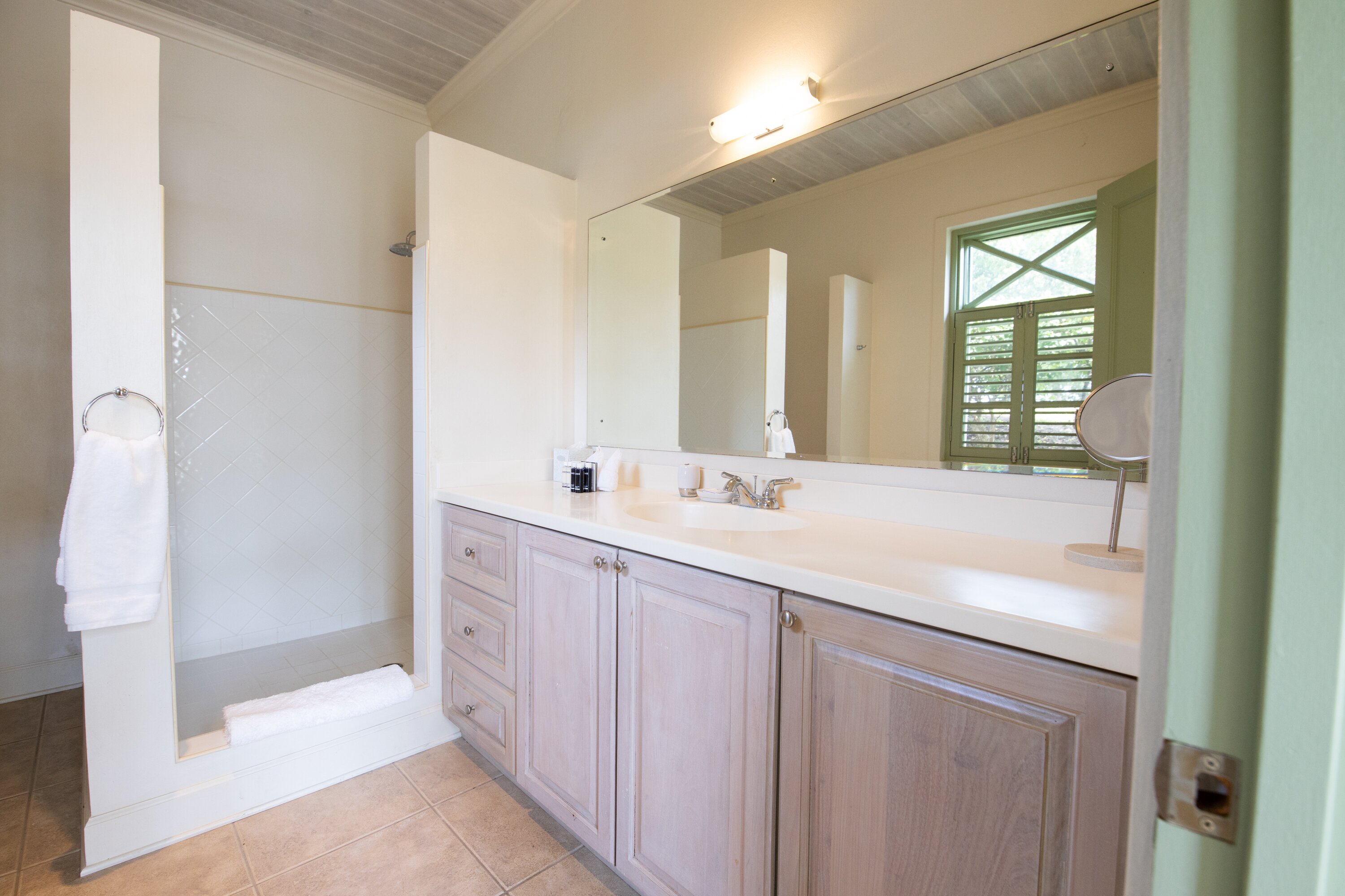 Hummingbird - Image 20