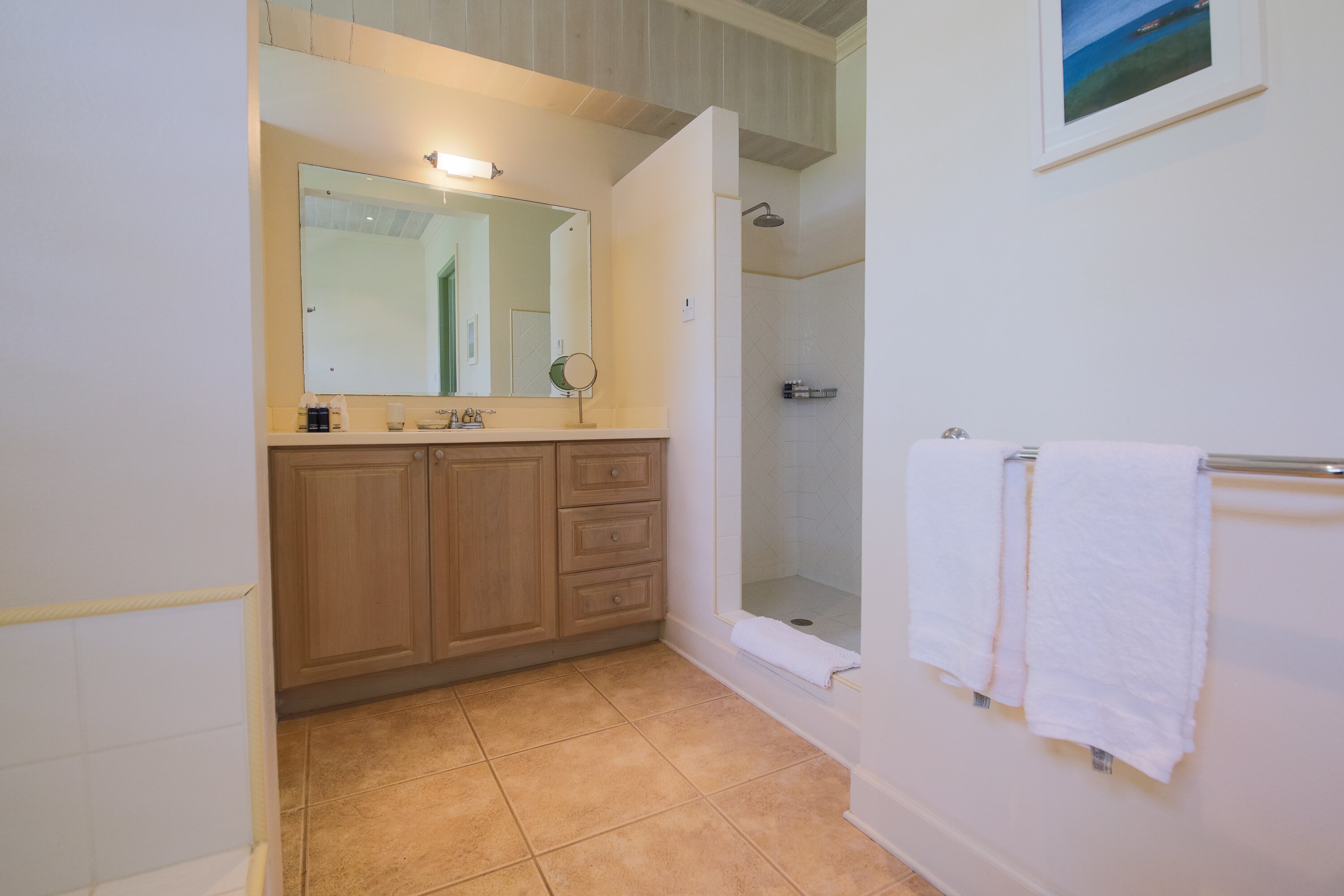 Hummingbird - Image 17