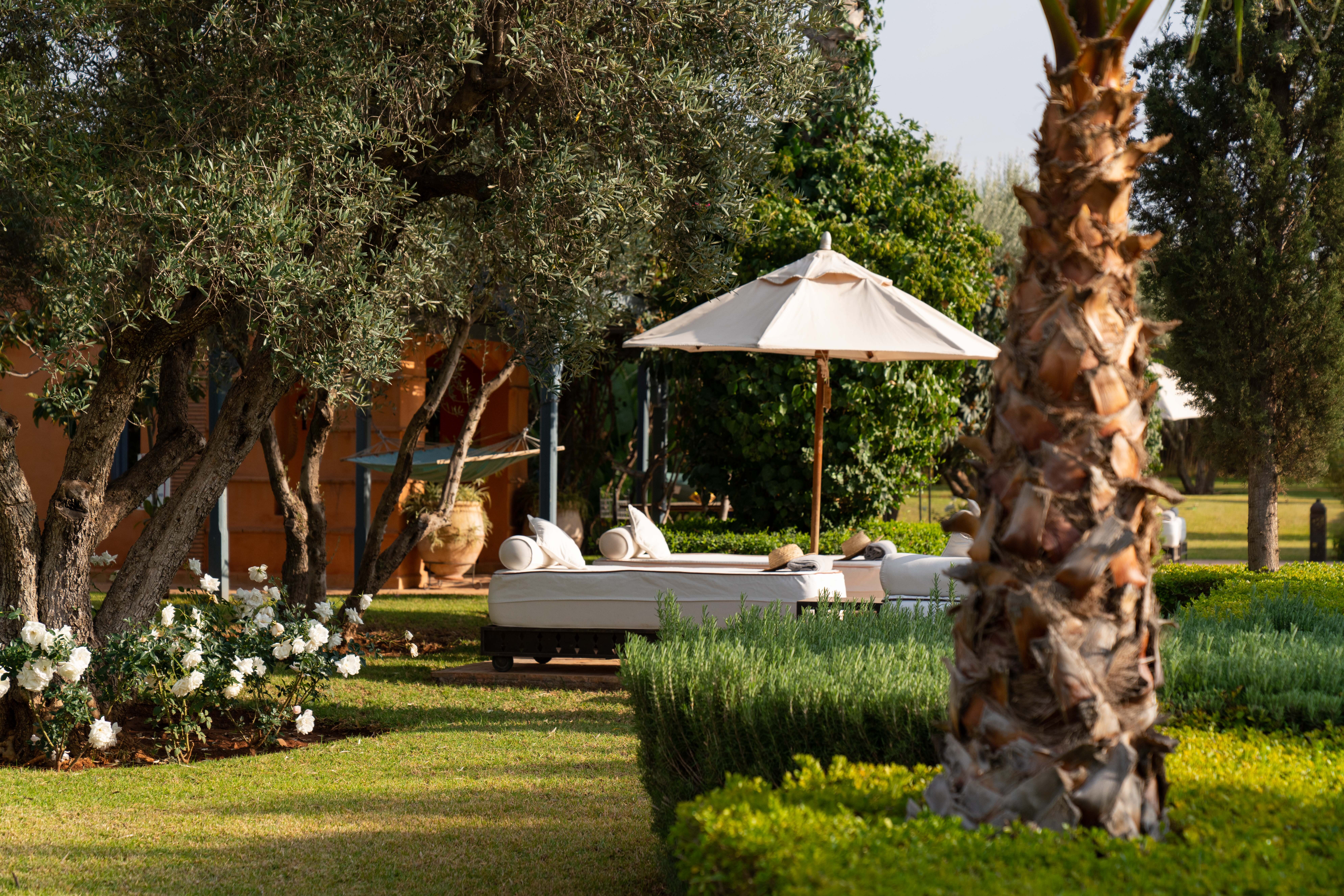 Dar Ammura, near Marrakech - Image 7