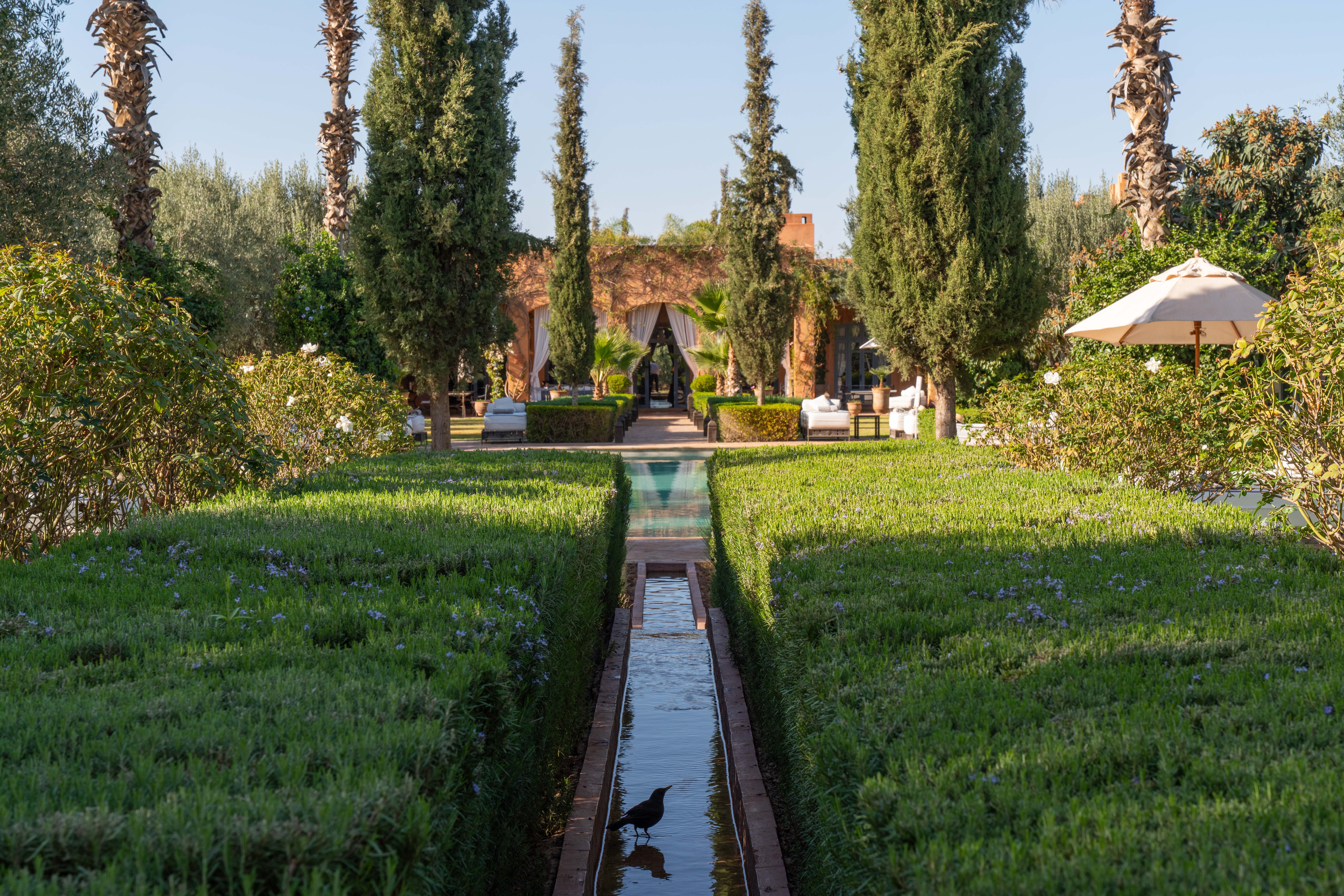 Dar Ammura, near Marrakech - Image 9