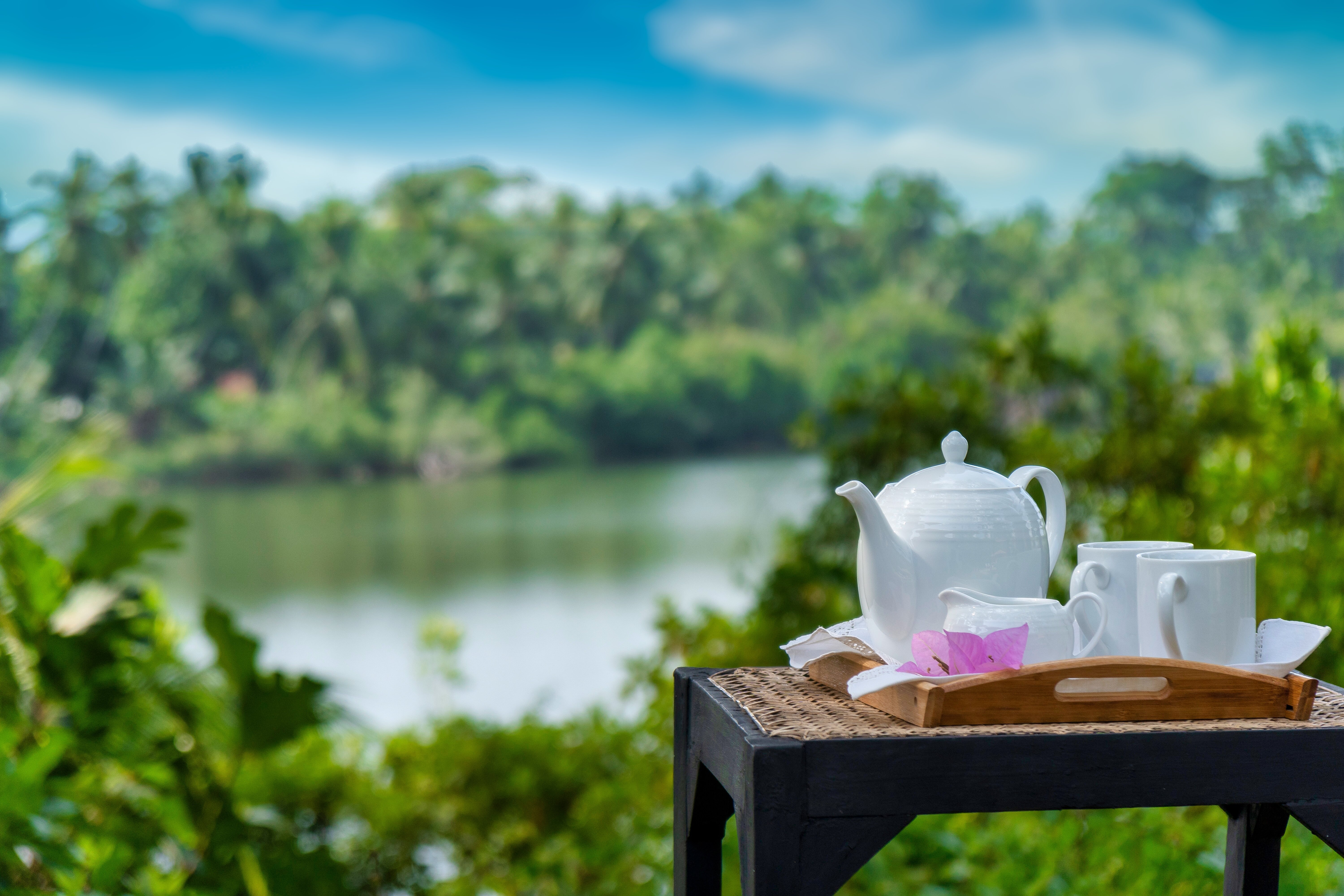 The Lake House - Image 11