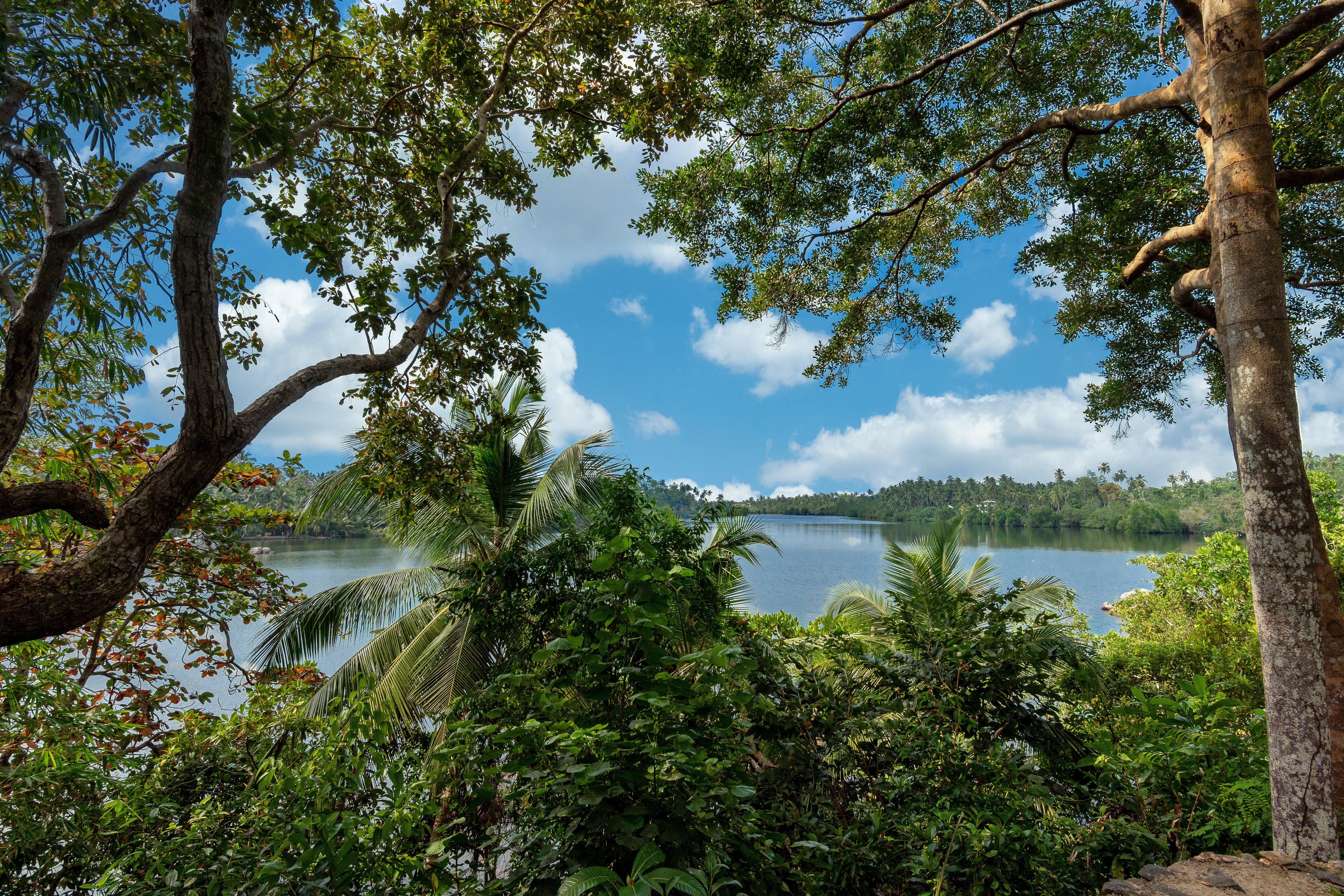 The Lake House - Image 12