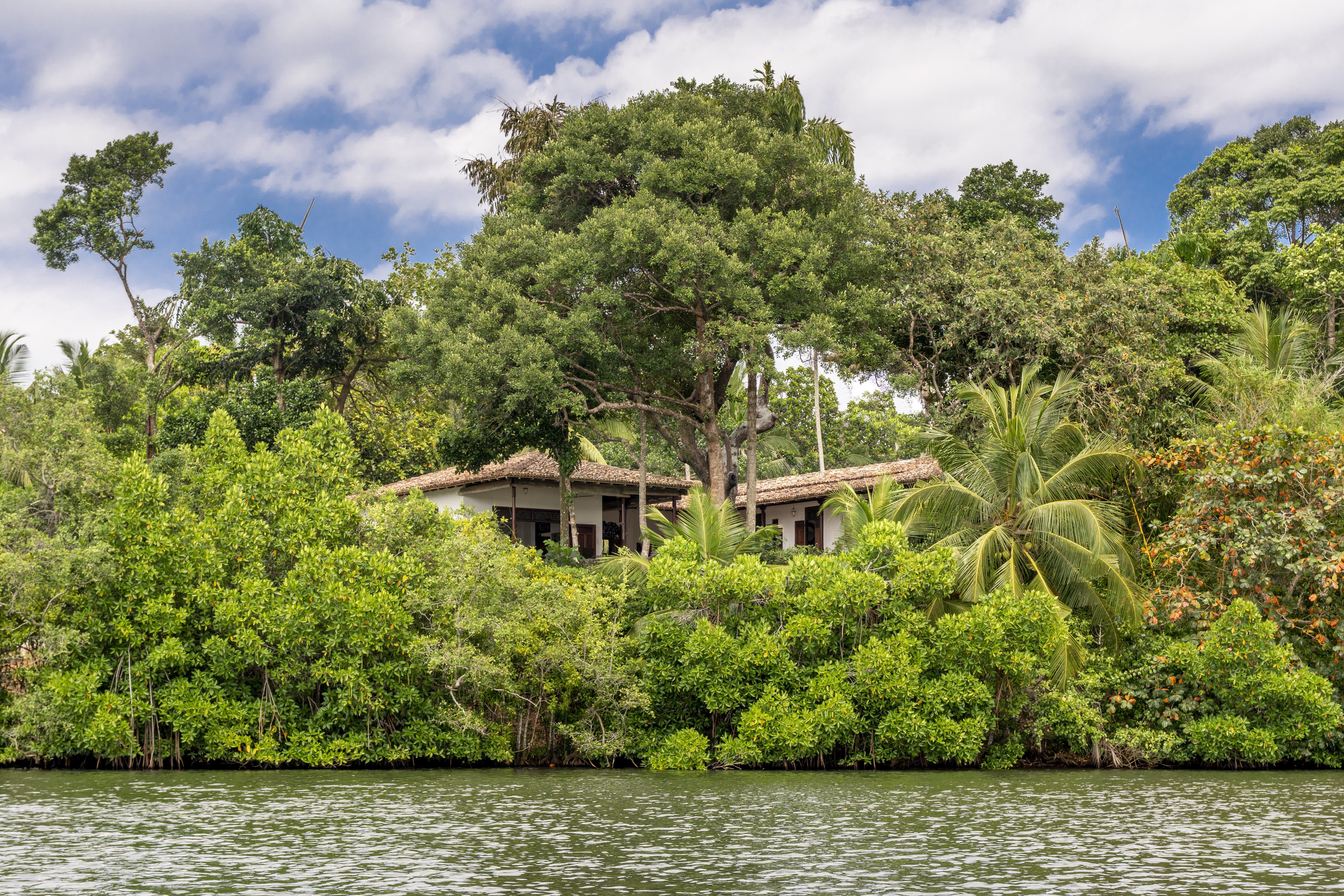 The Lake House - Image 3