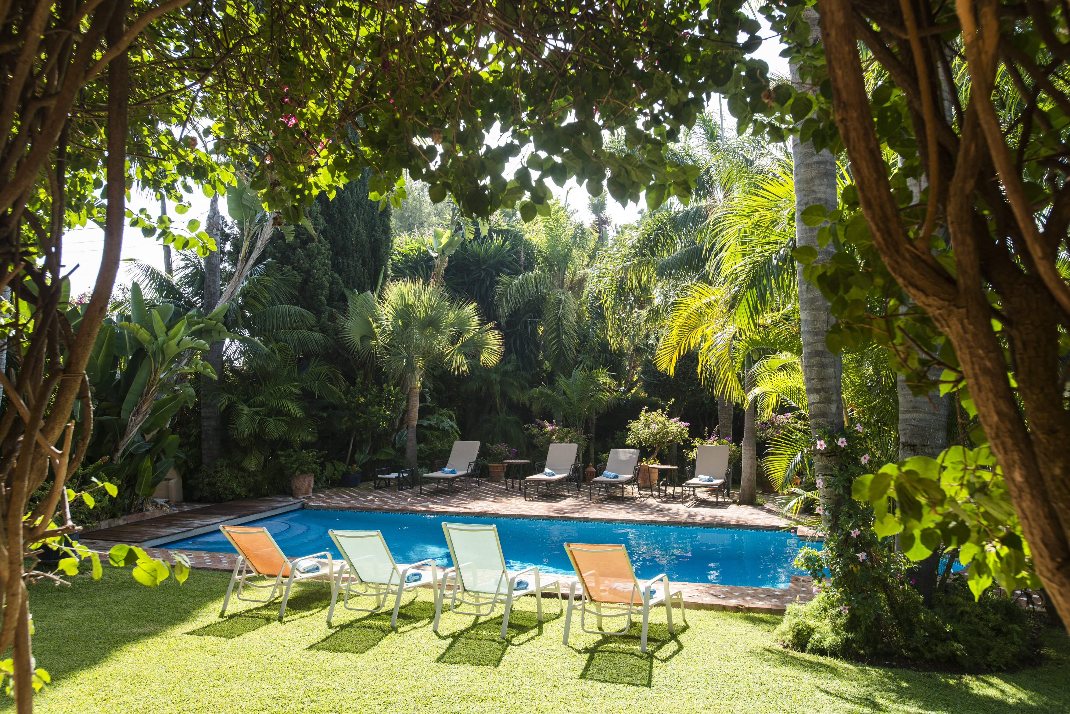 Rodeo Alto, Puerto Banús - Image 17