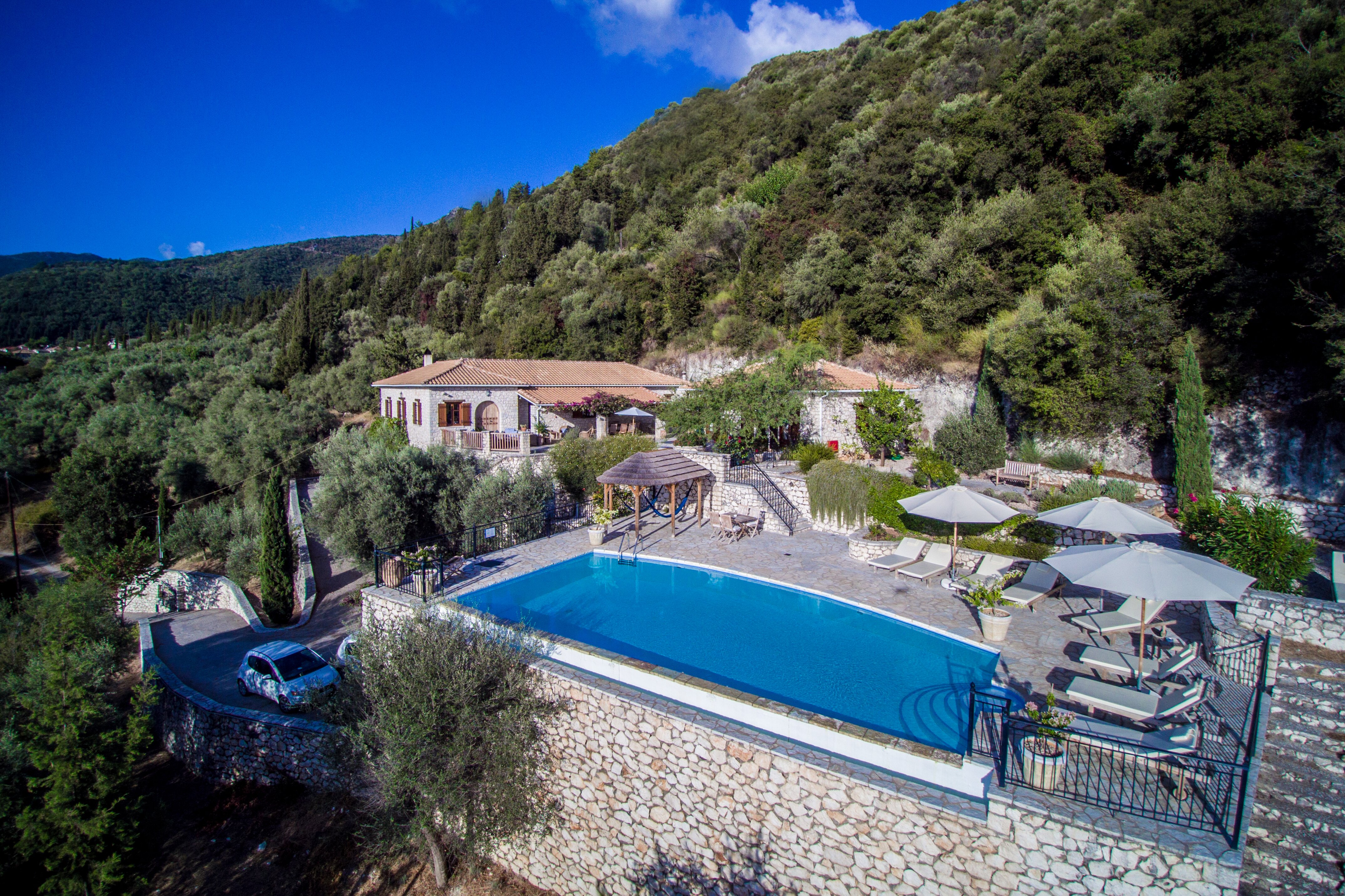 To Petrino - Image 18