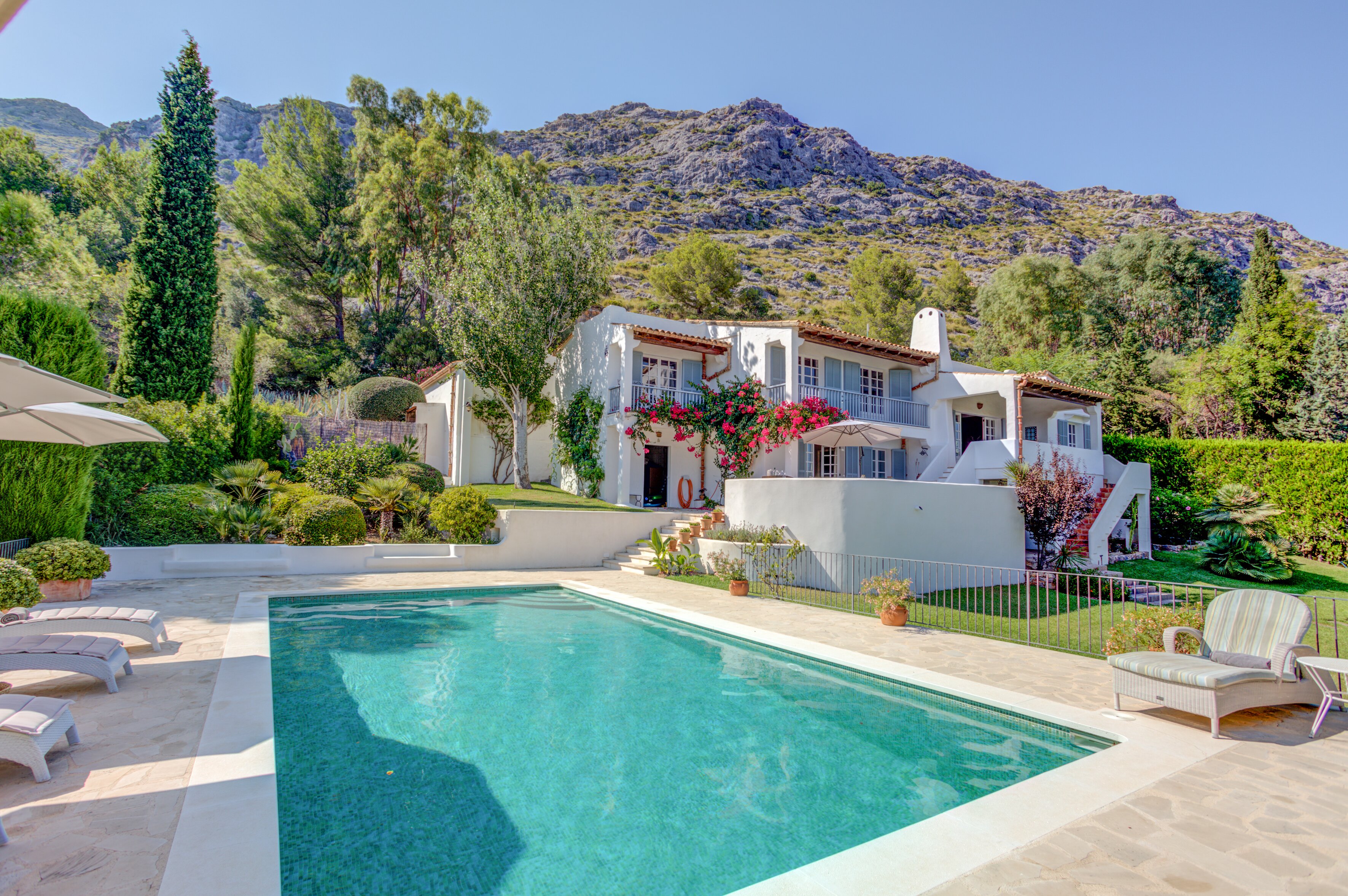 Las Peonias - Image 7