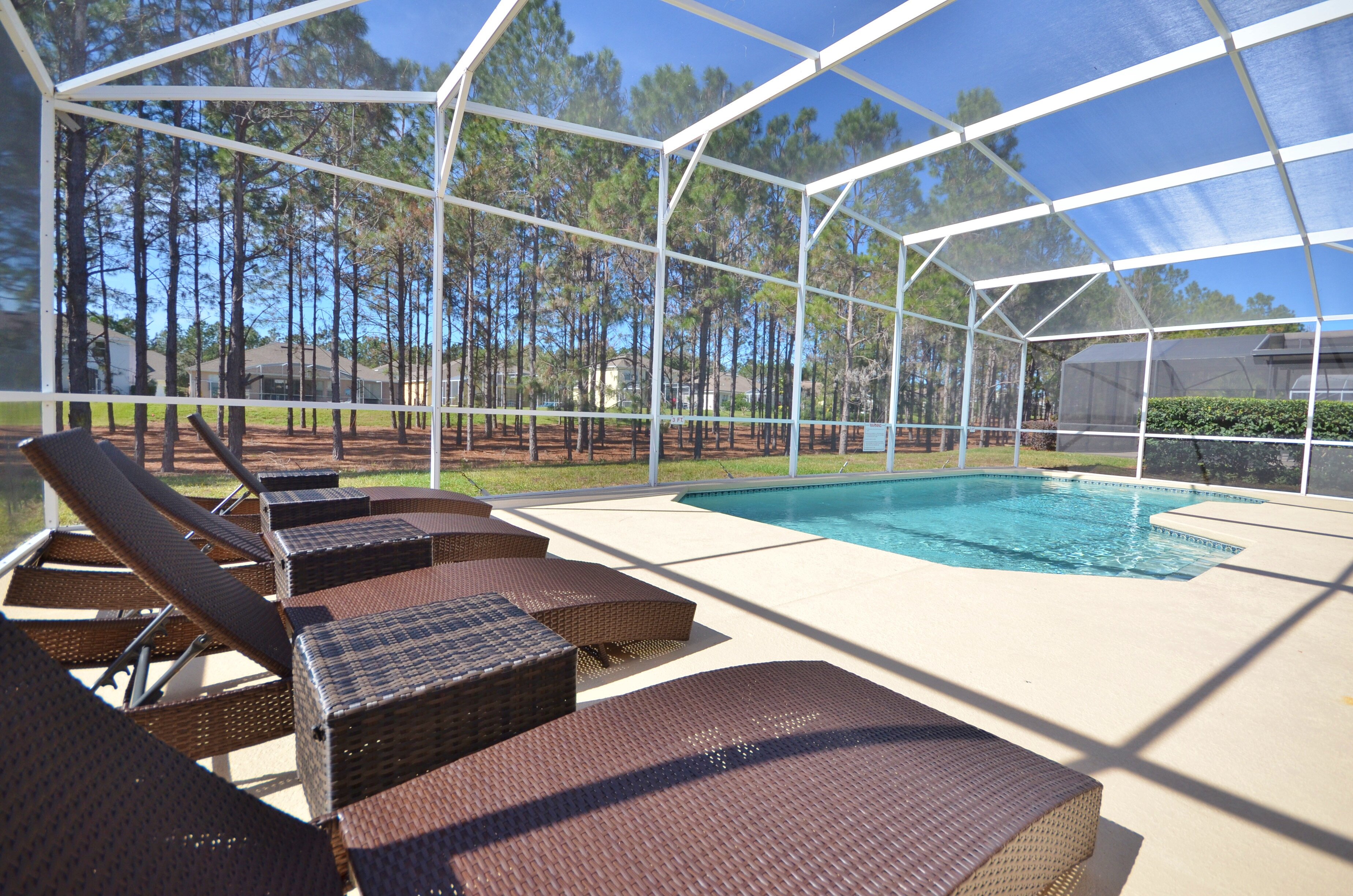 White Orchid - Image 17