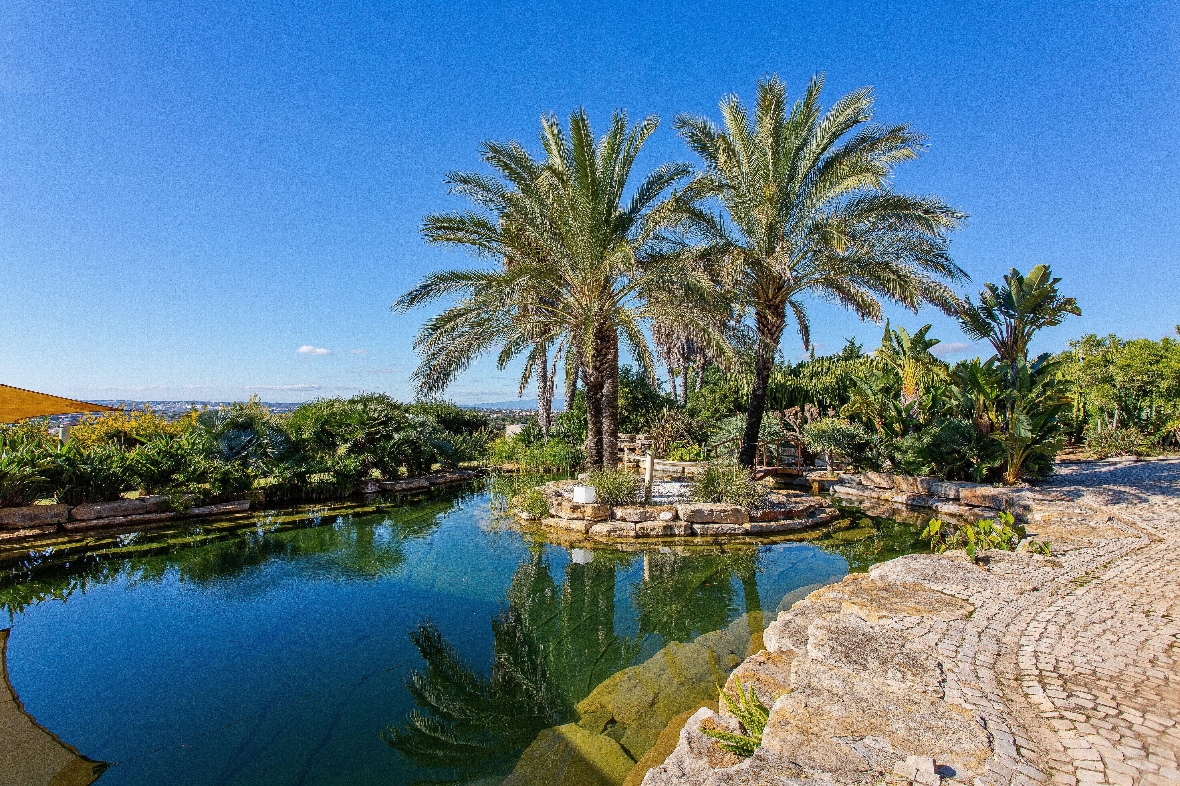 Quinta Palmeiras - Image 19