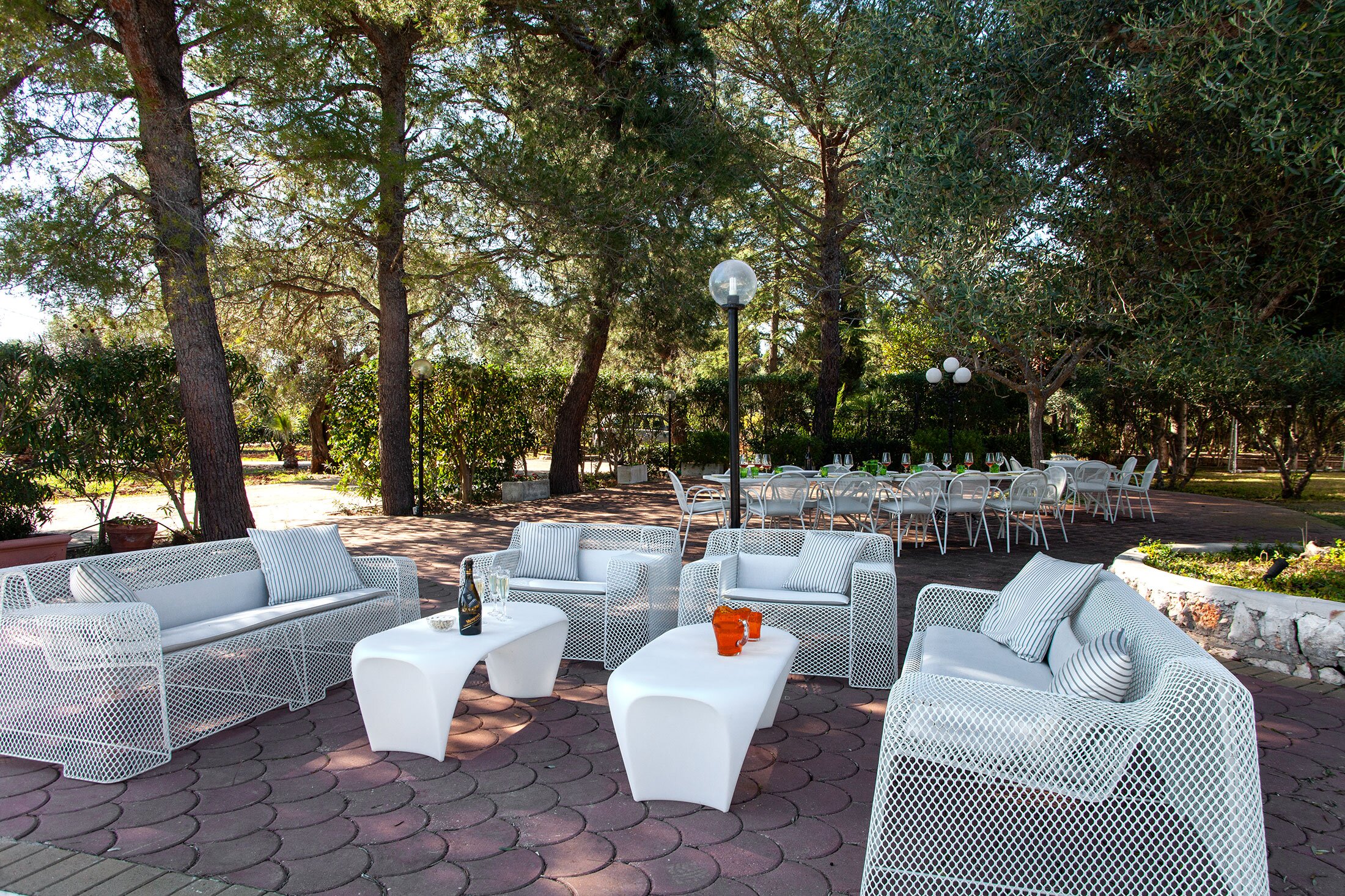 The Olive Grove - Image 4