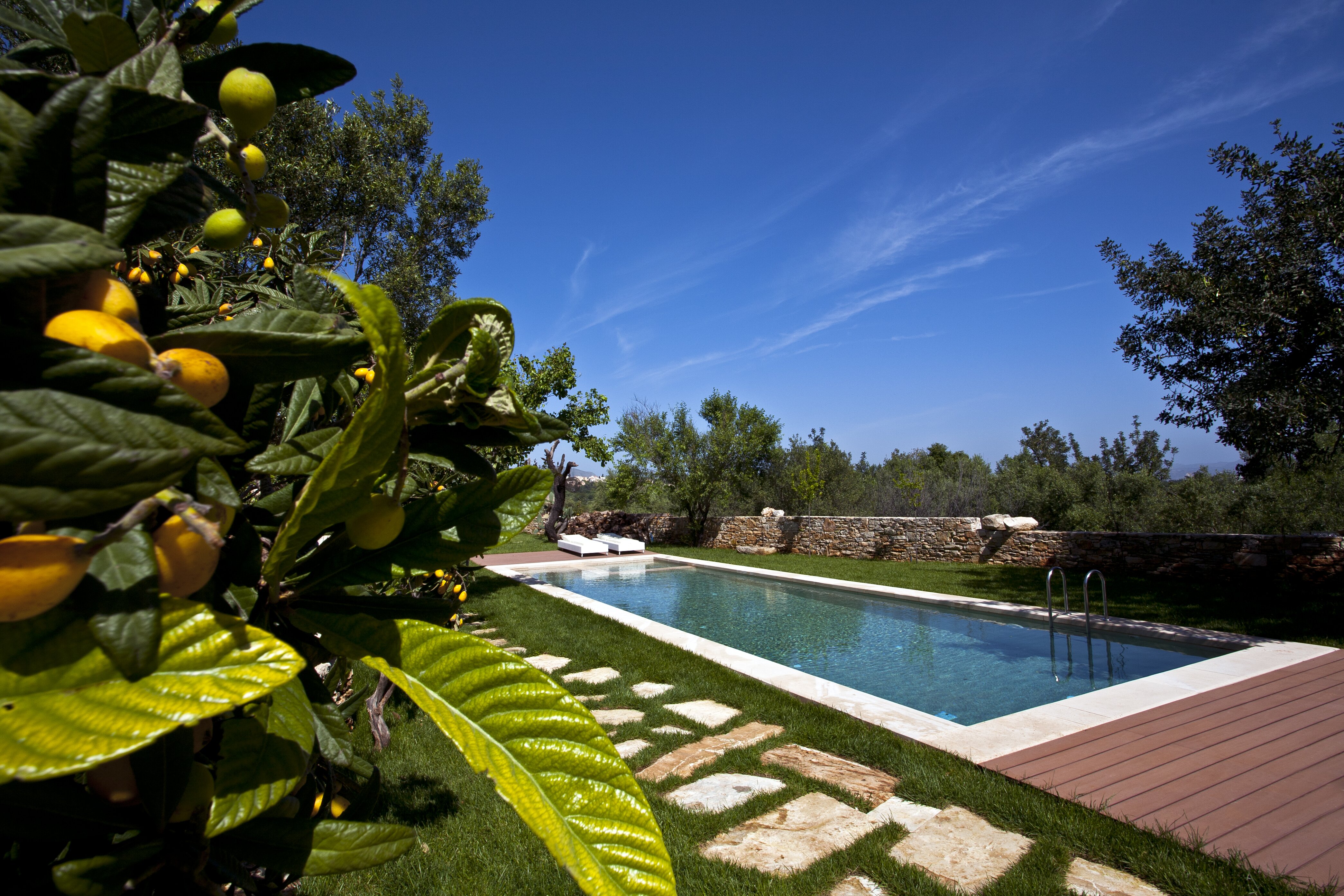 The Olive Mill - Image 19