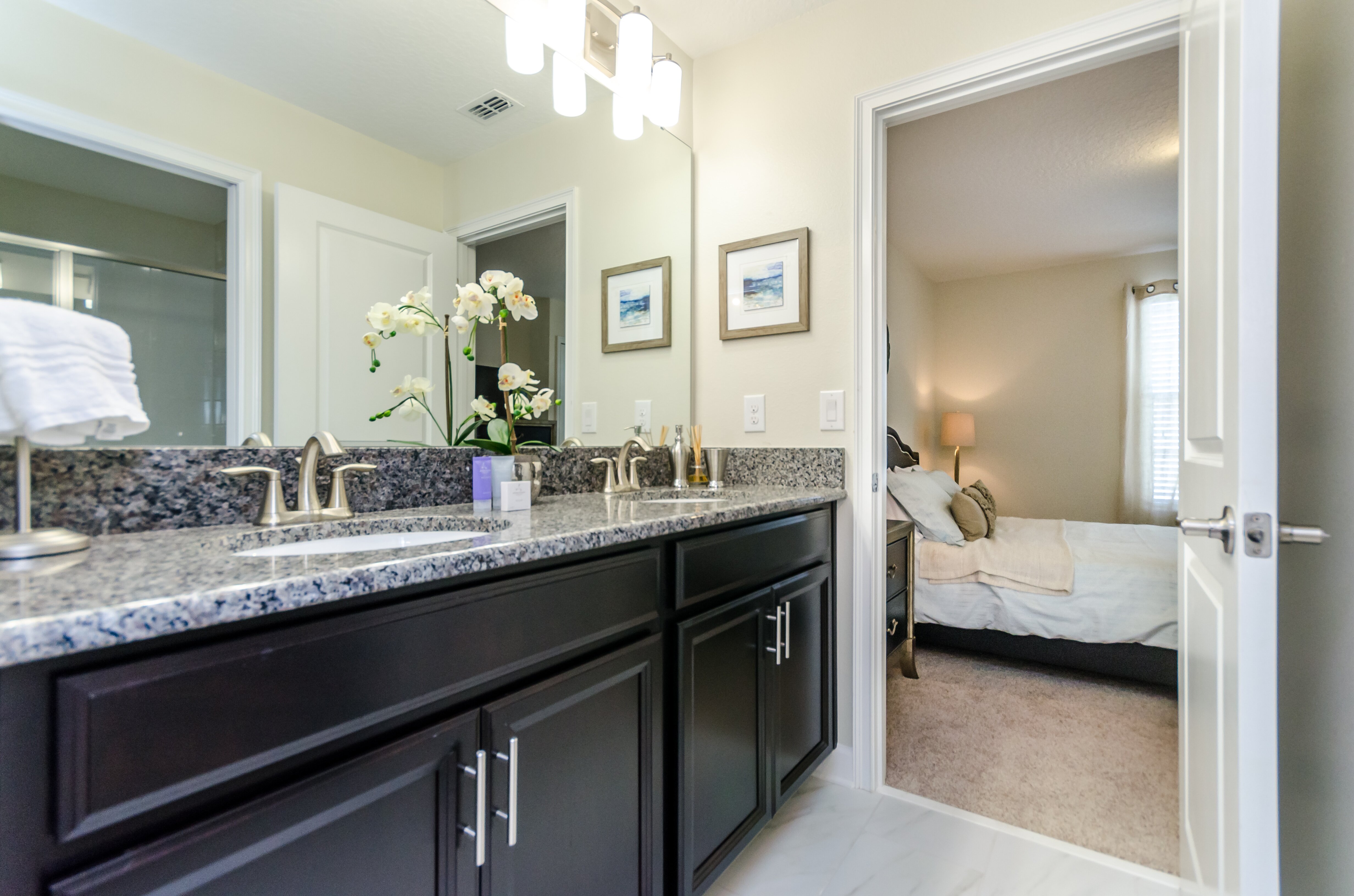 Black Orchid - Image 20