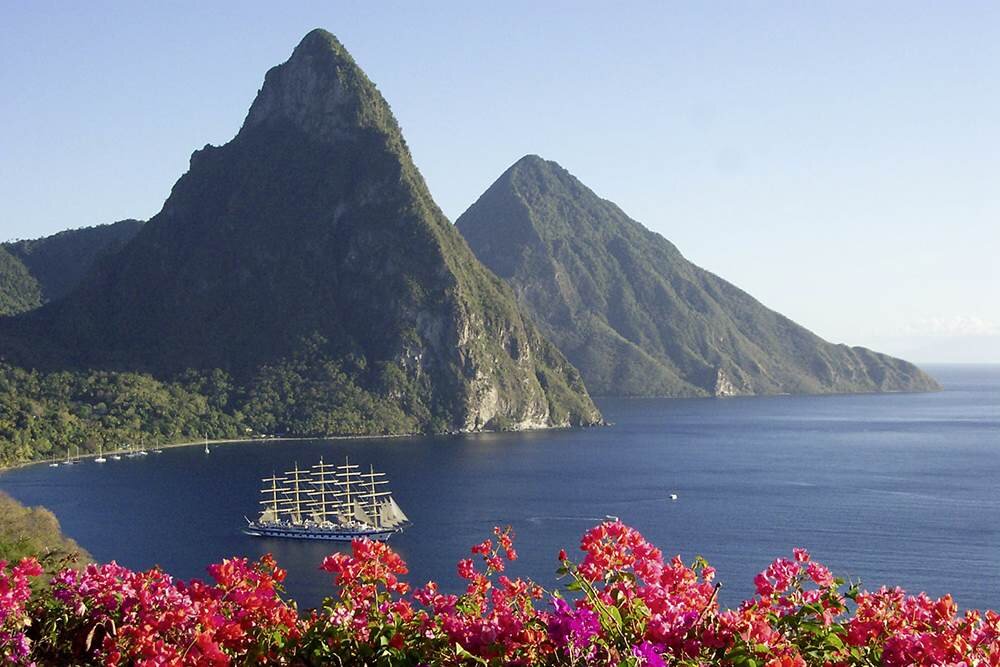 Tamarind House - Image 5