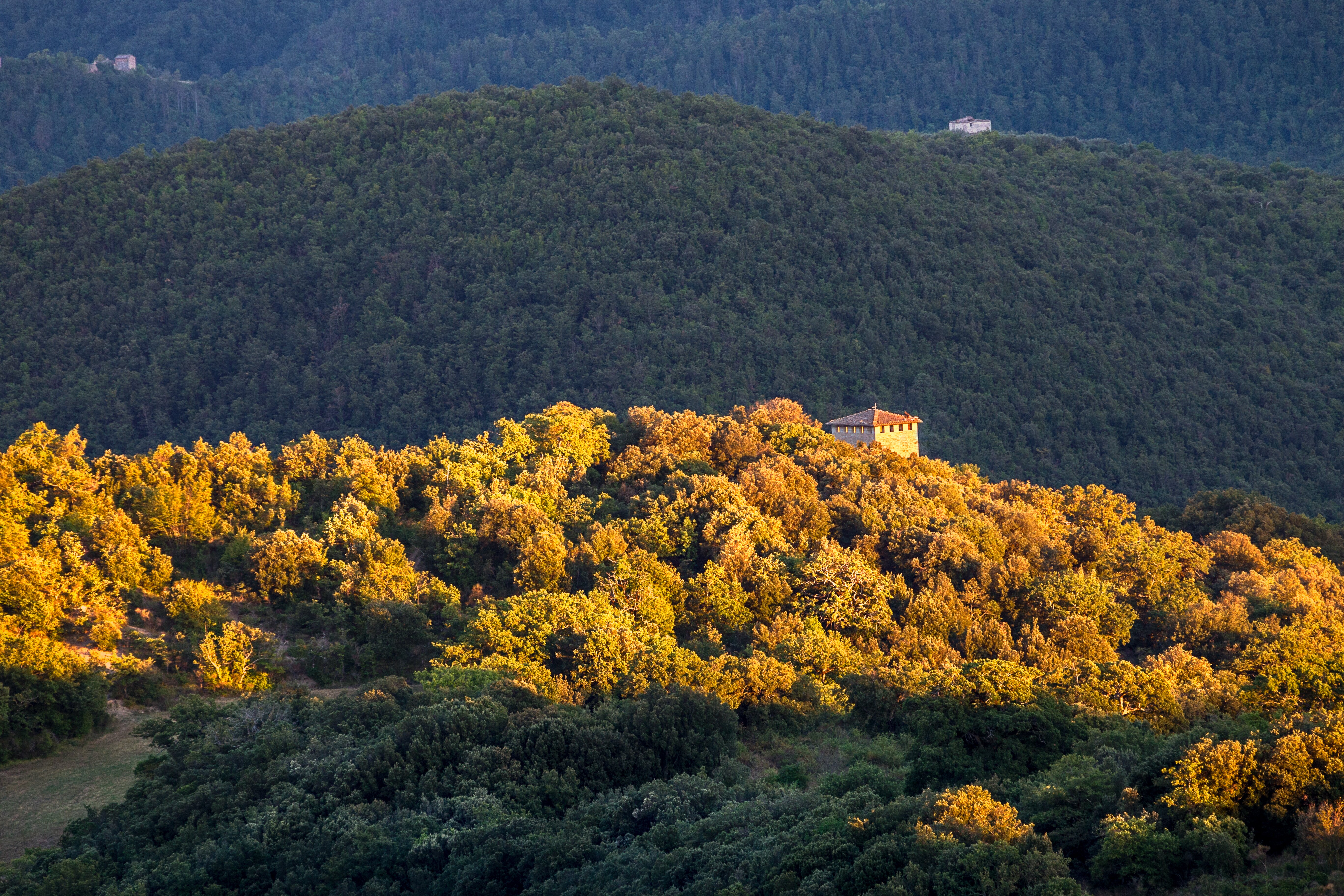 Villa Elceto - Image 11