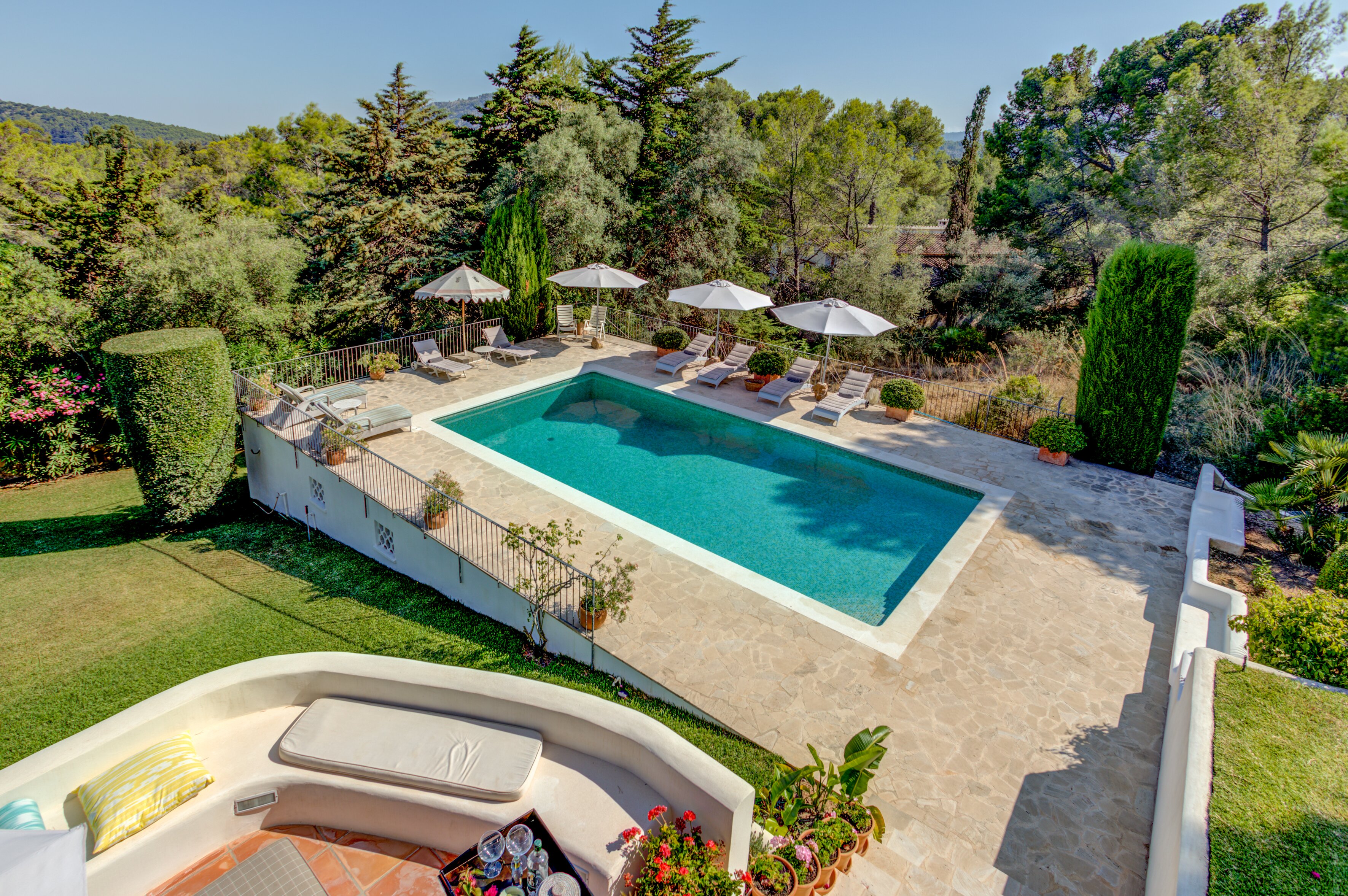 Las Peonias - Image 6