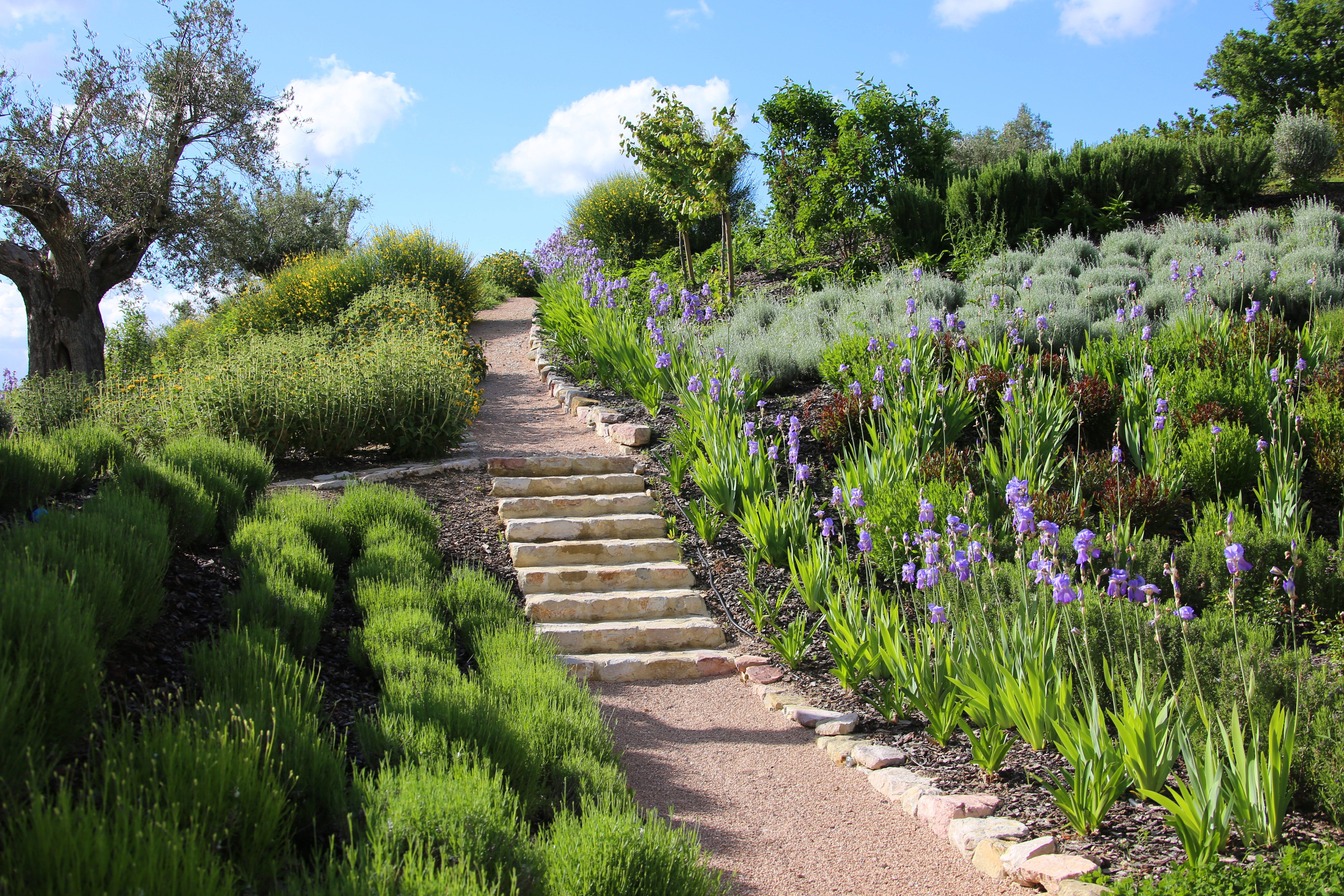 Villa Fiorita - Image 12