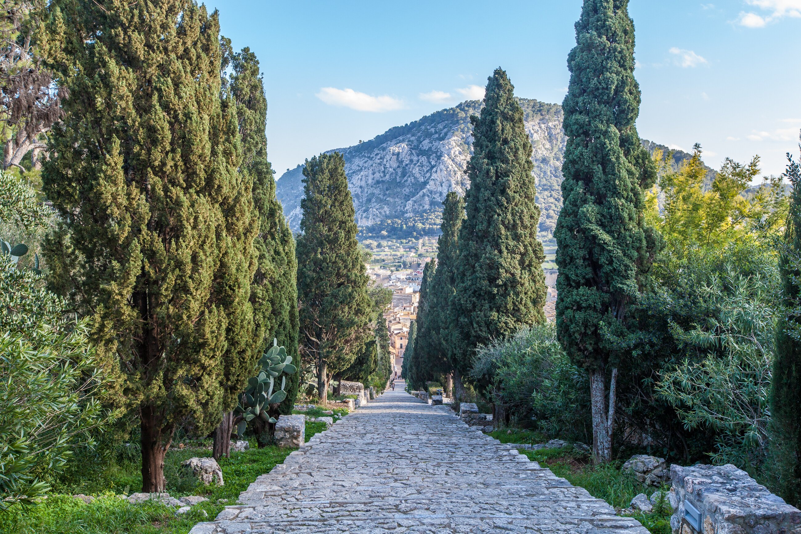 Calvario View - Image 19