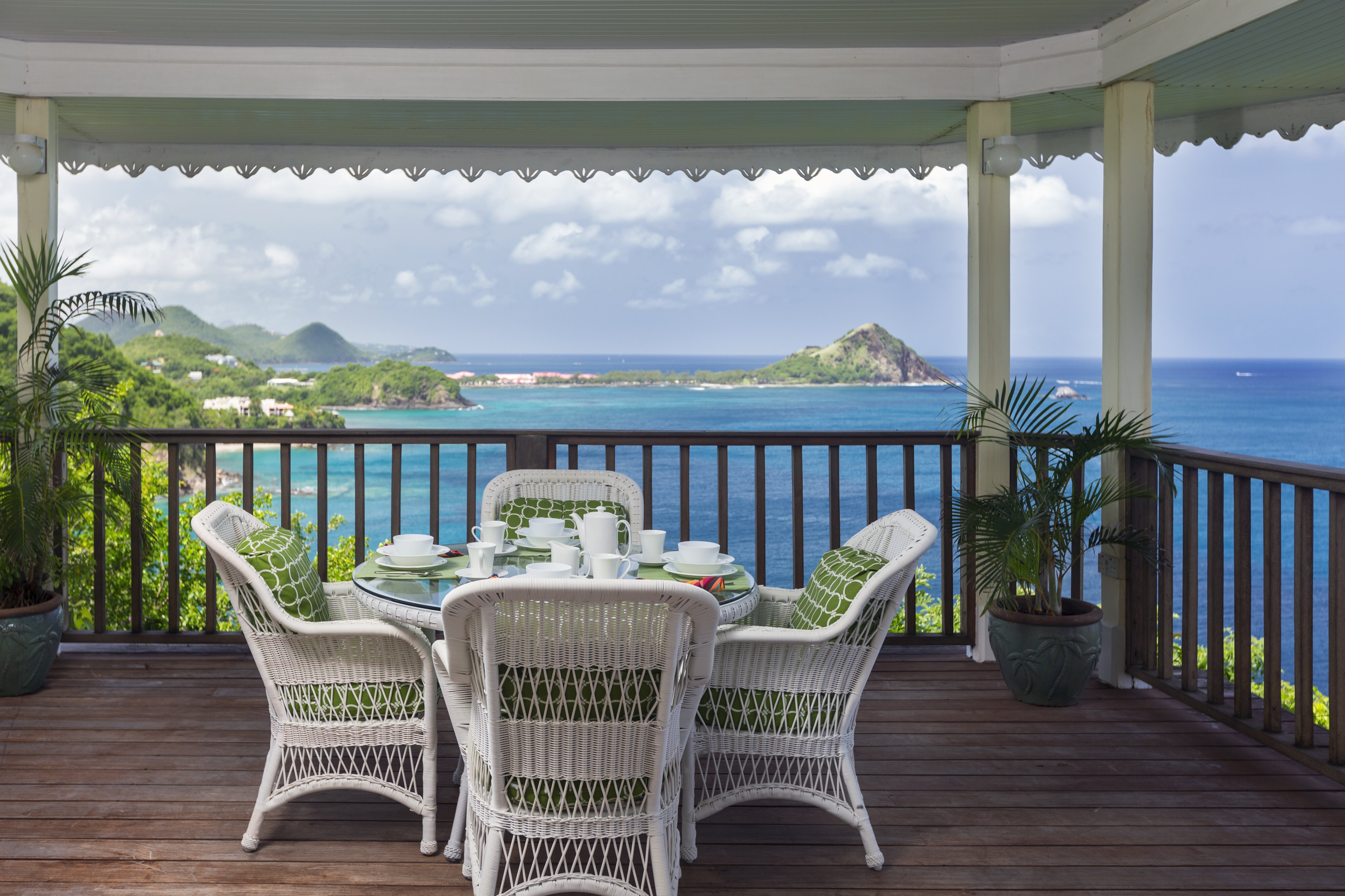 Lemon Tree - Image 20