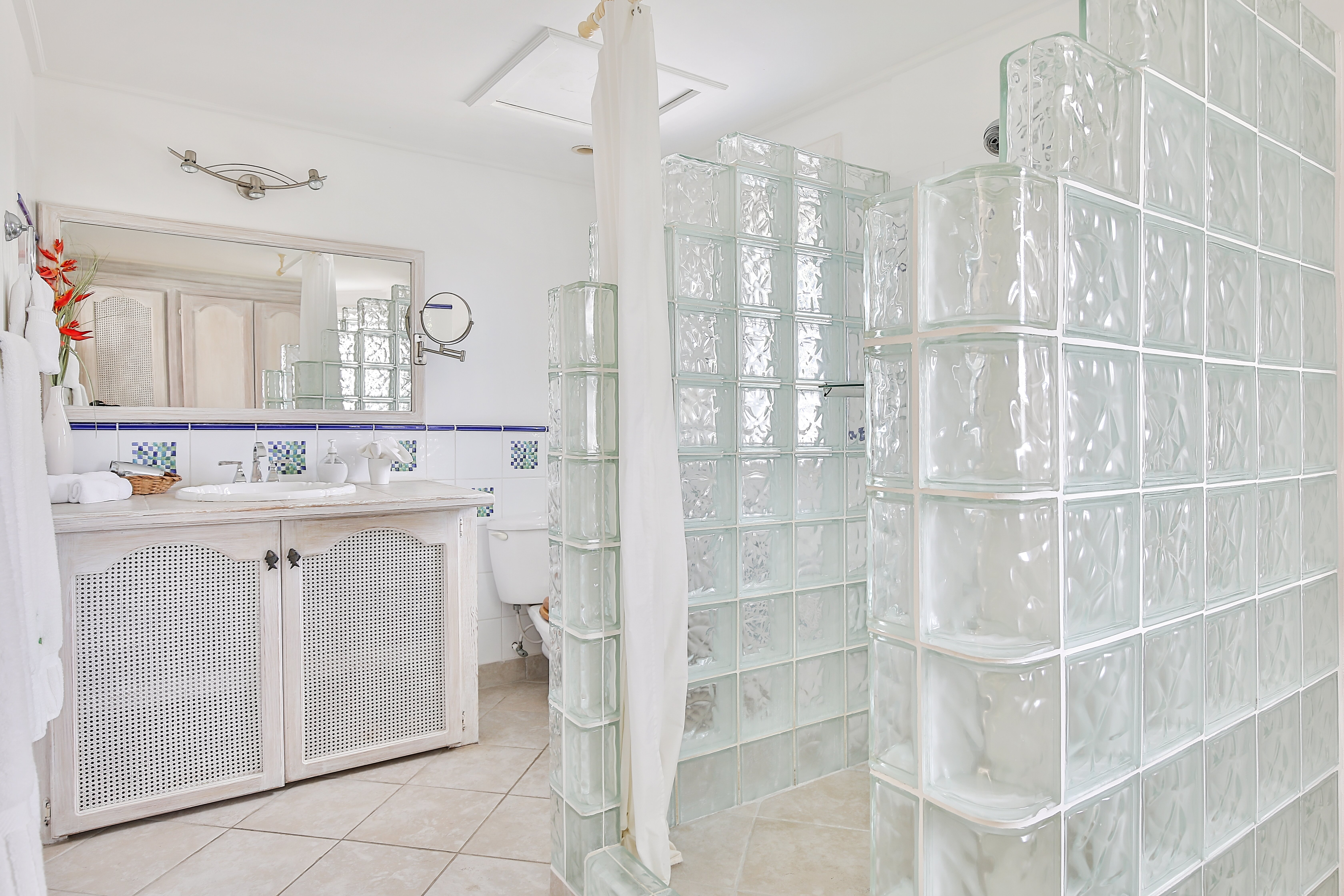 Lemon Tree - Image 9