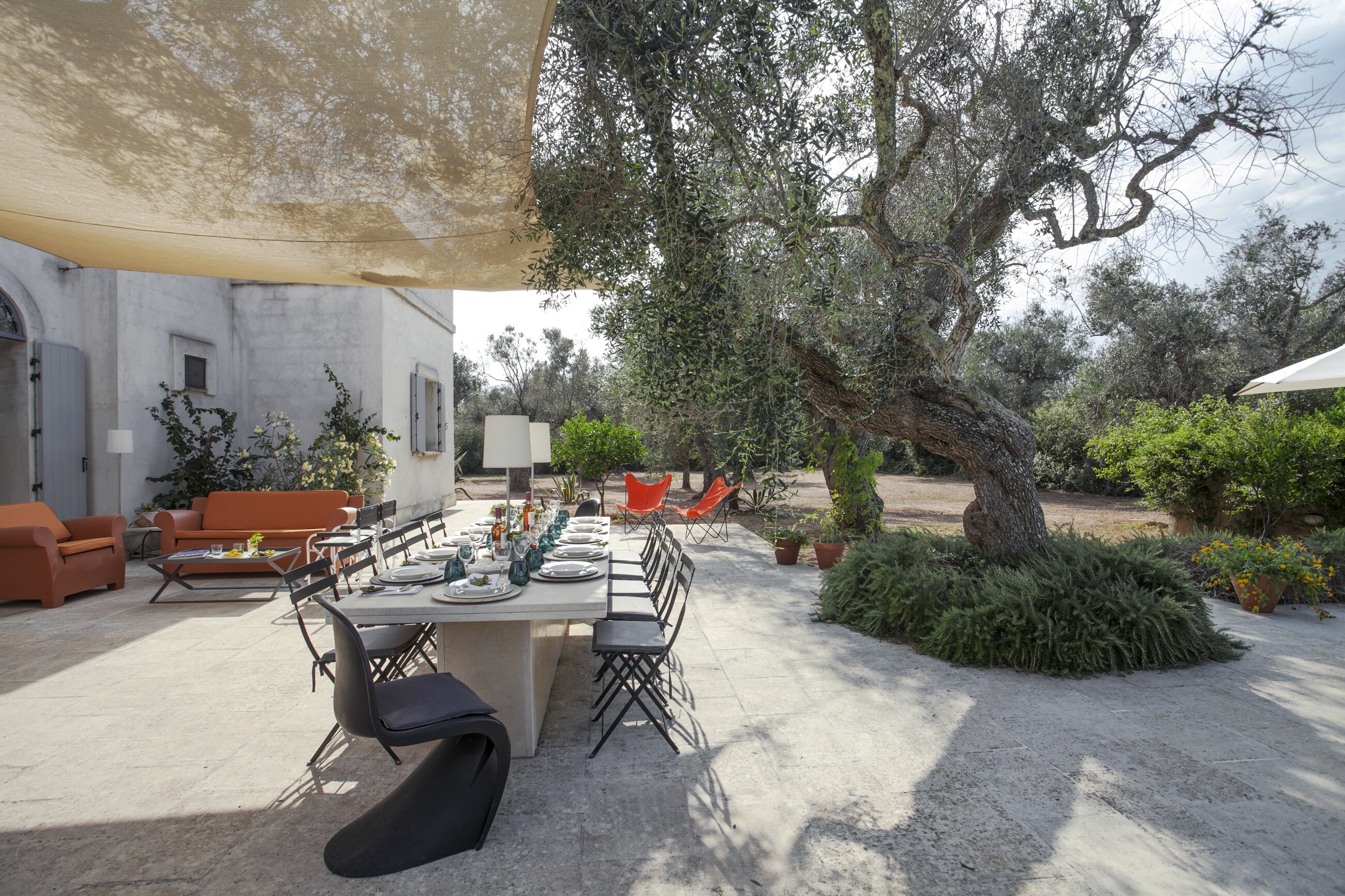 Tre Ulivi - Image 11