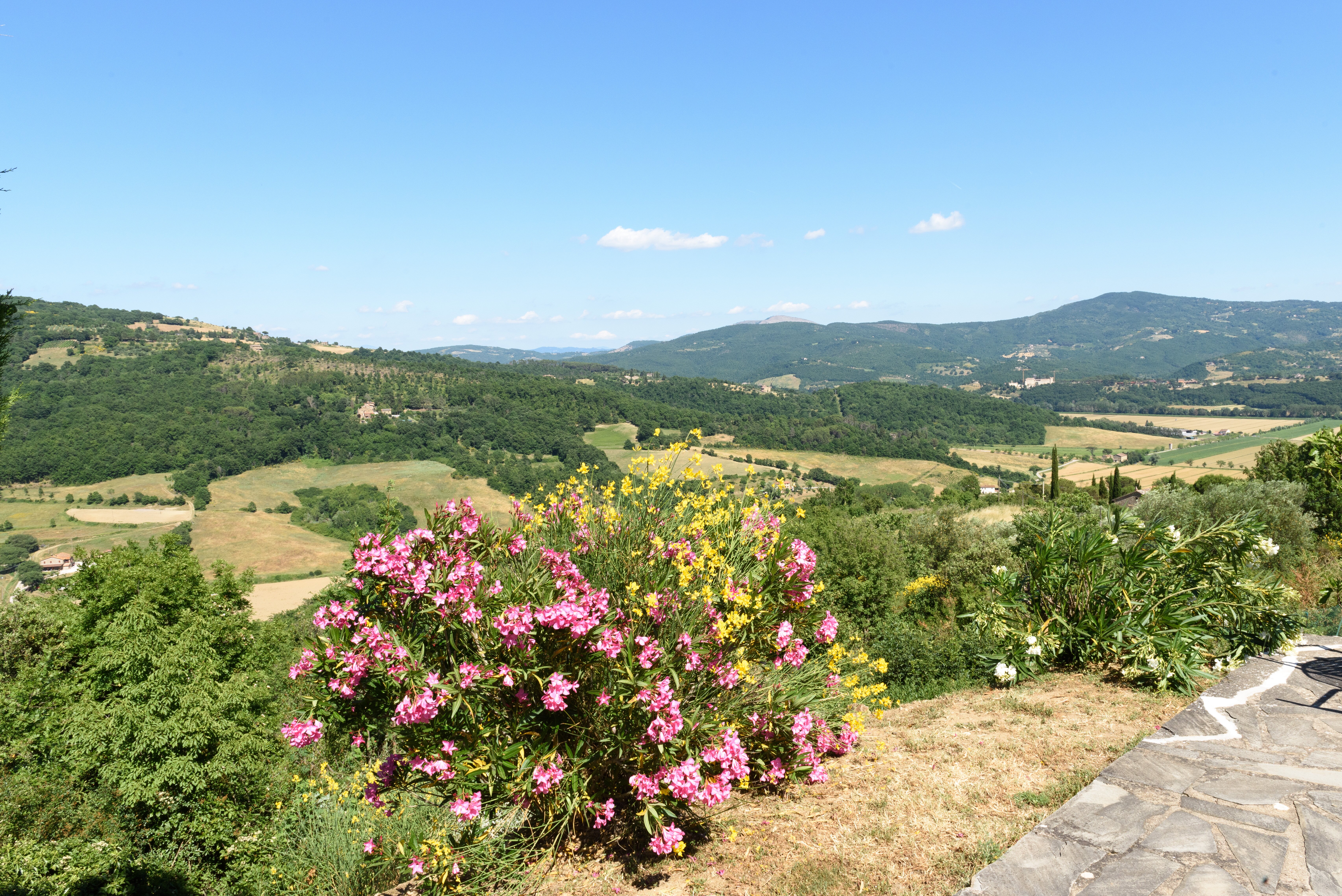 Casa del Cavaliere - Image 5