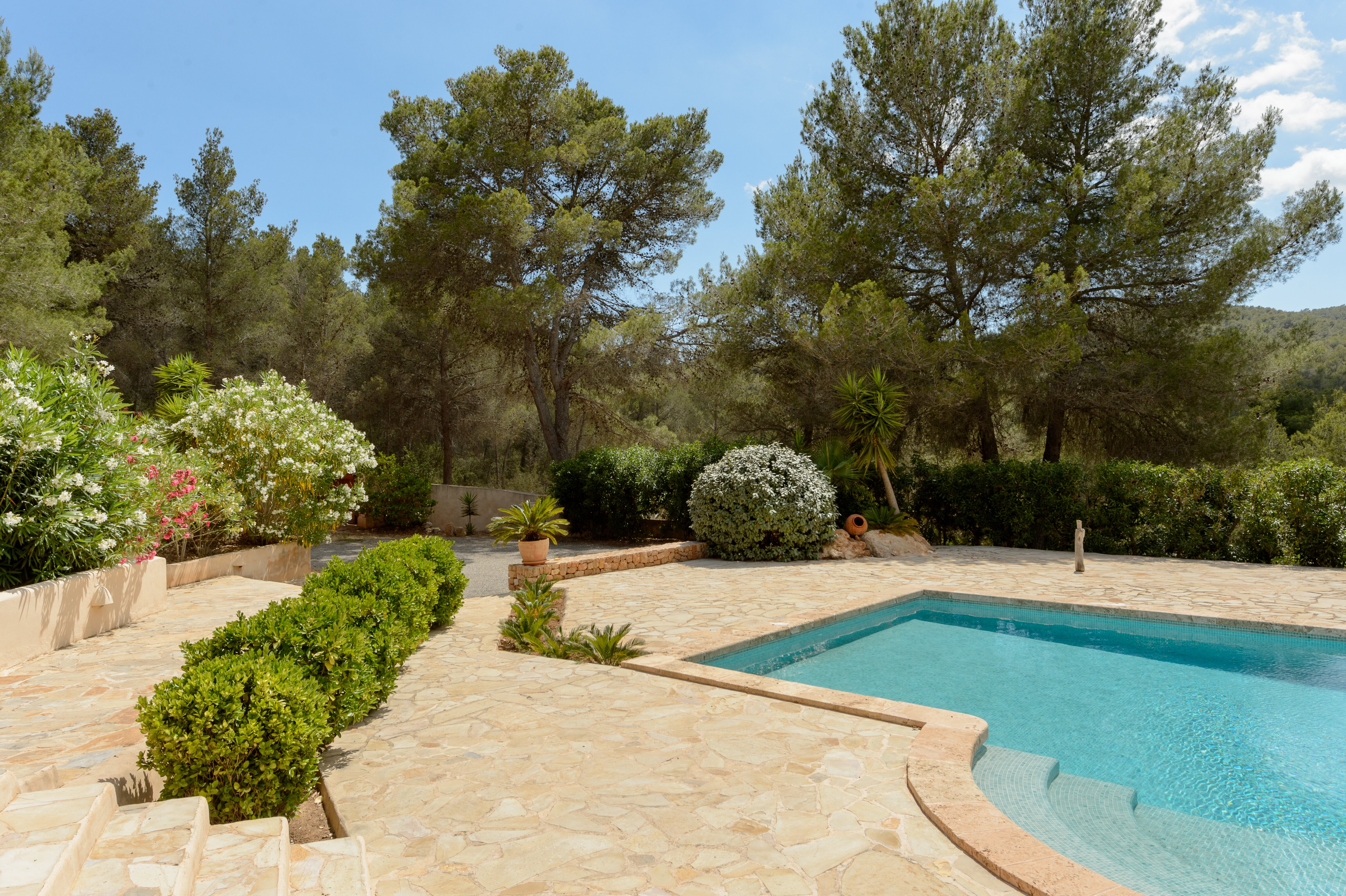 Ca'n Carroca - Image 8