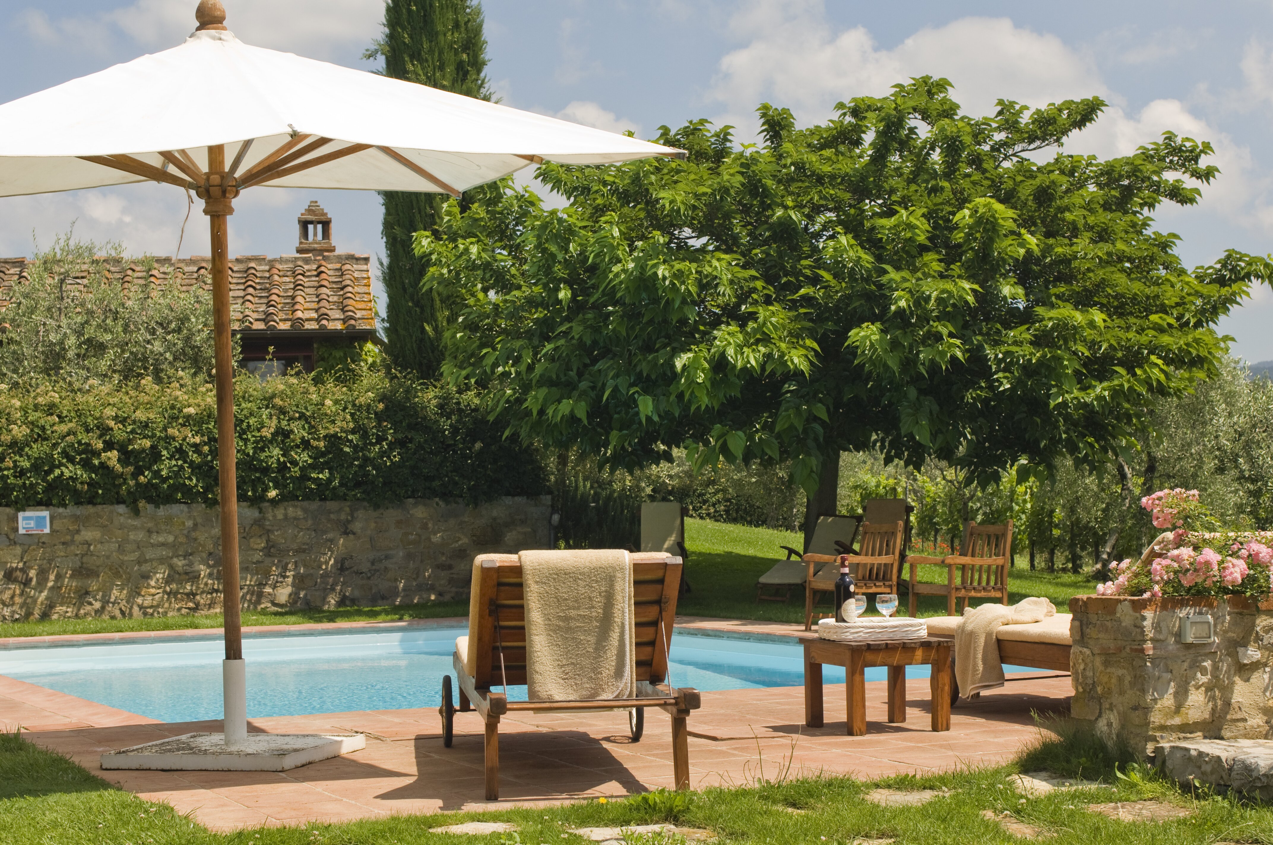 Sole di Sesta - Image 15