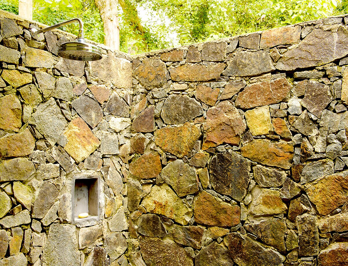 Elephant House - Image 9