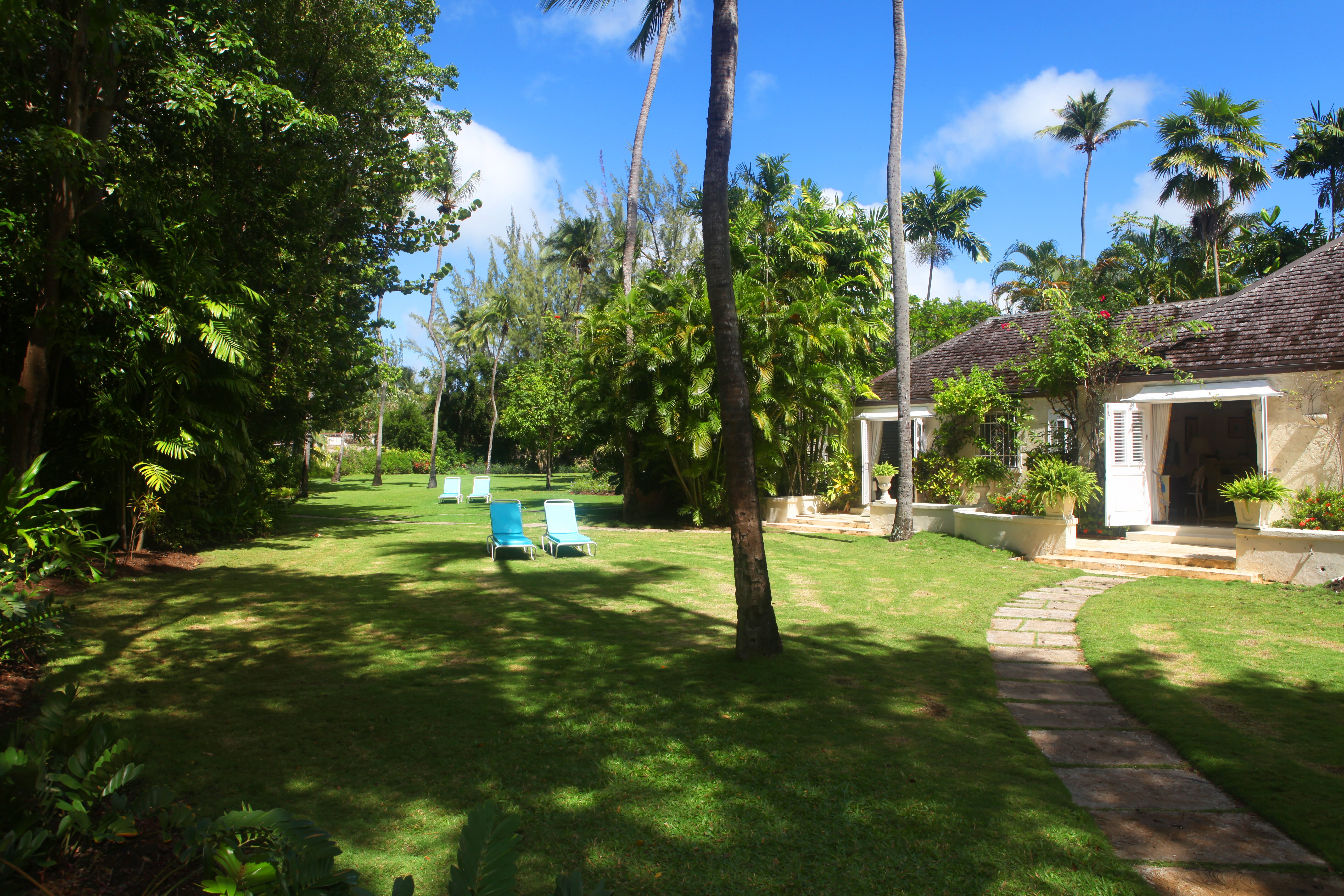 Heronetta - Image 13