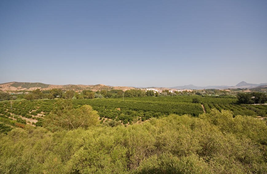 Cortijo de la Virgen - Image 6