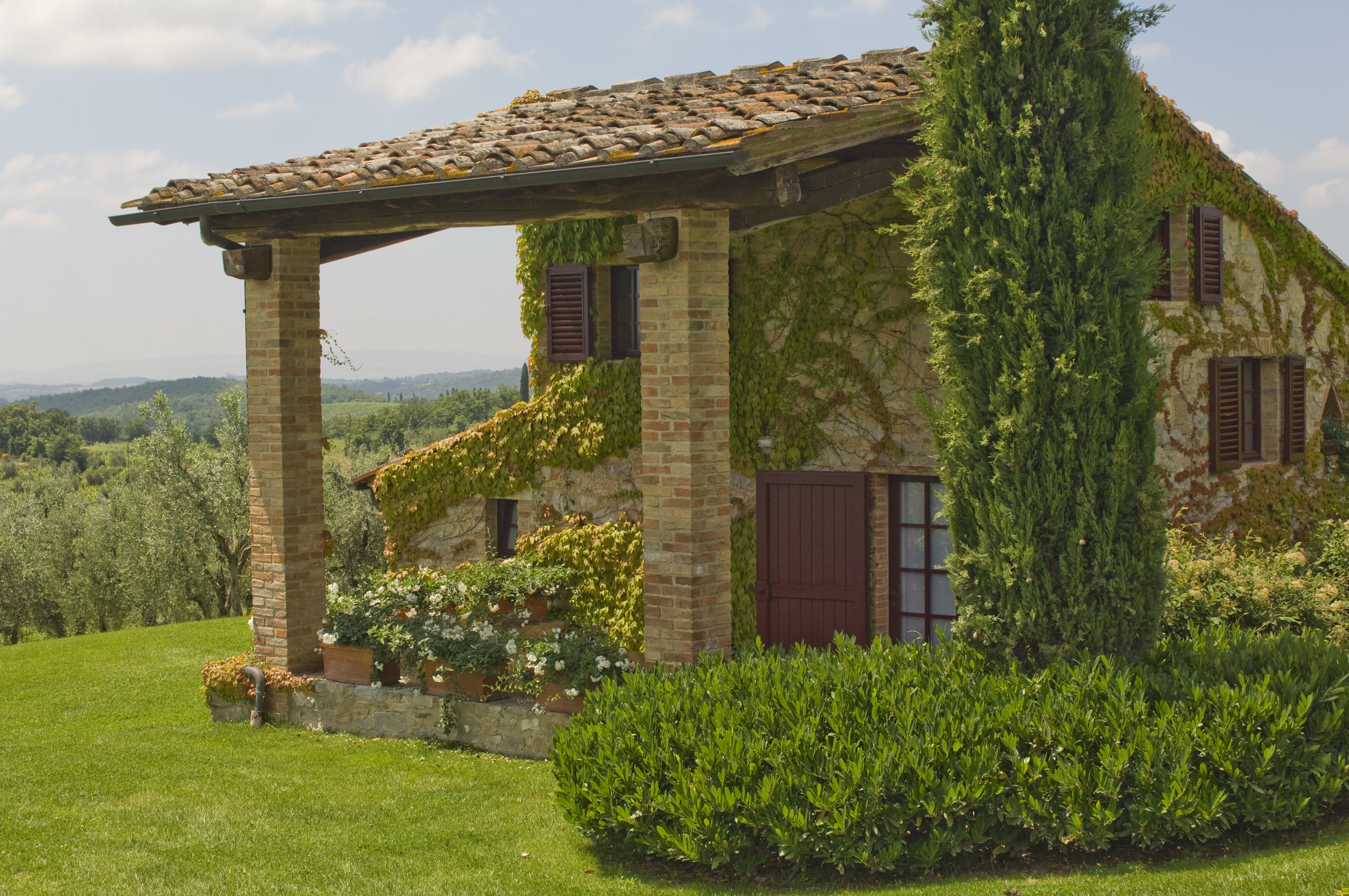 Sole di Sesta - Image 13