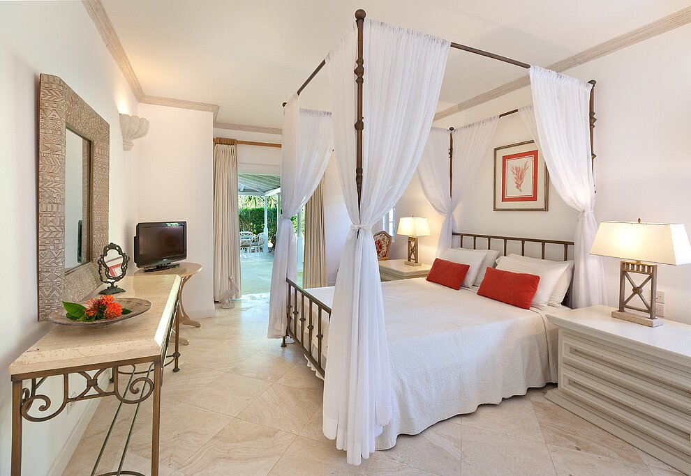 Coconut Palms - Image 5