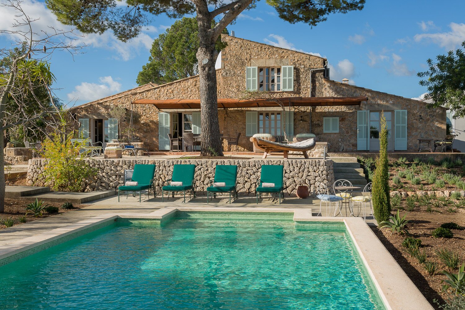 Los Pinos - Image 13