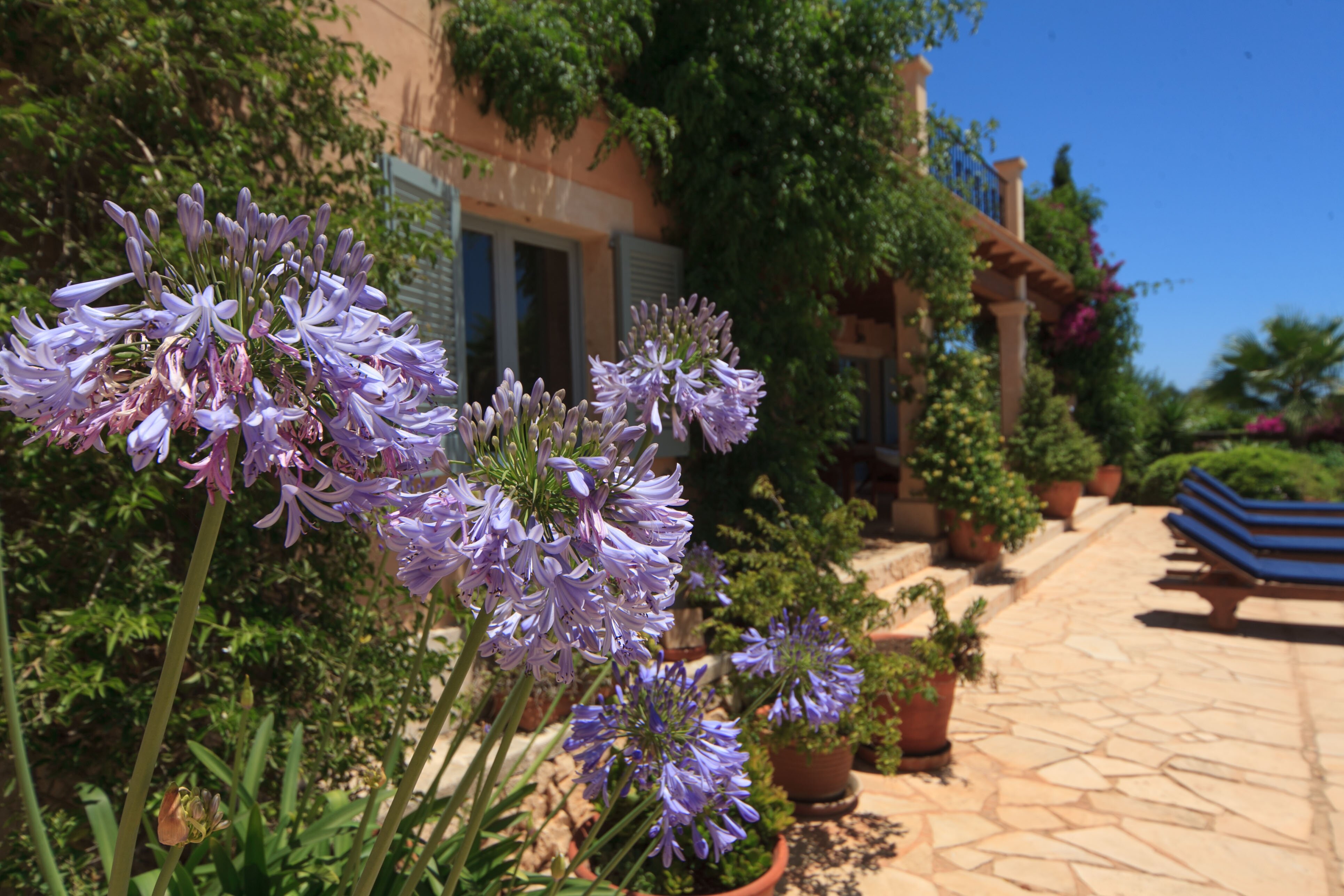 Ca'n Palmera - Image 17