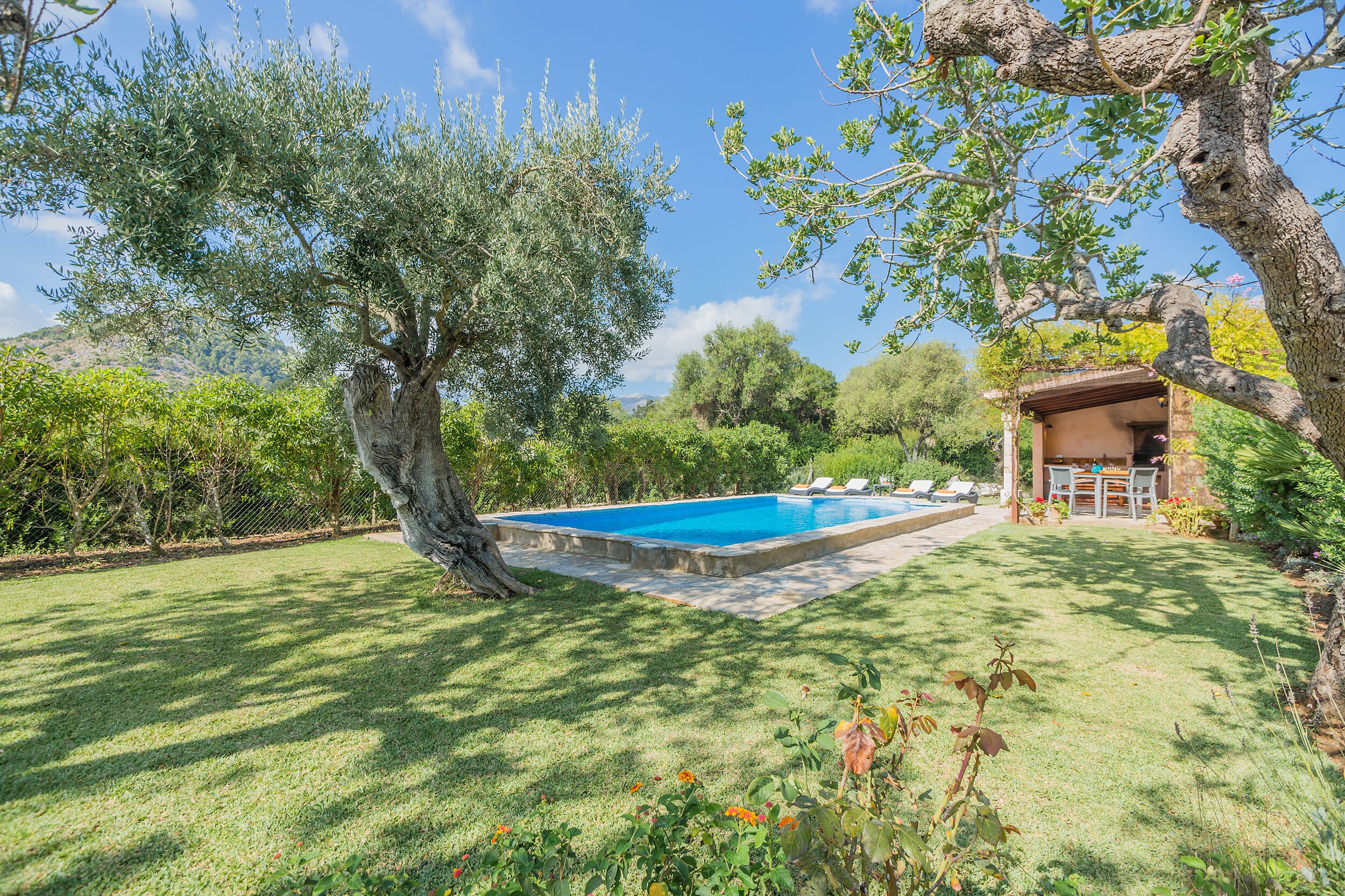 Ca'n Jaume - Image 6