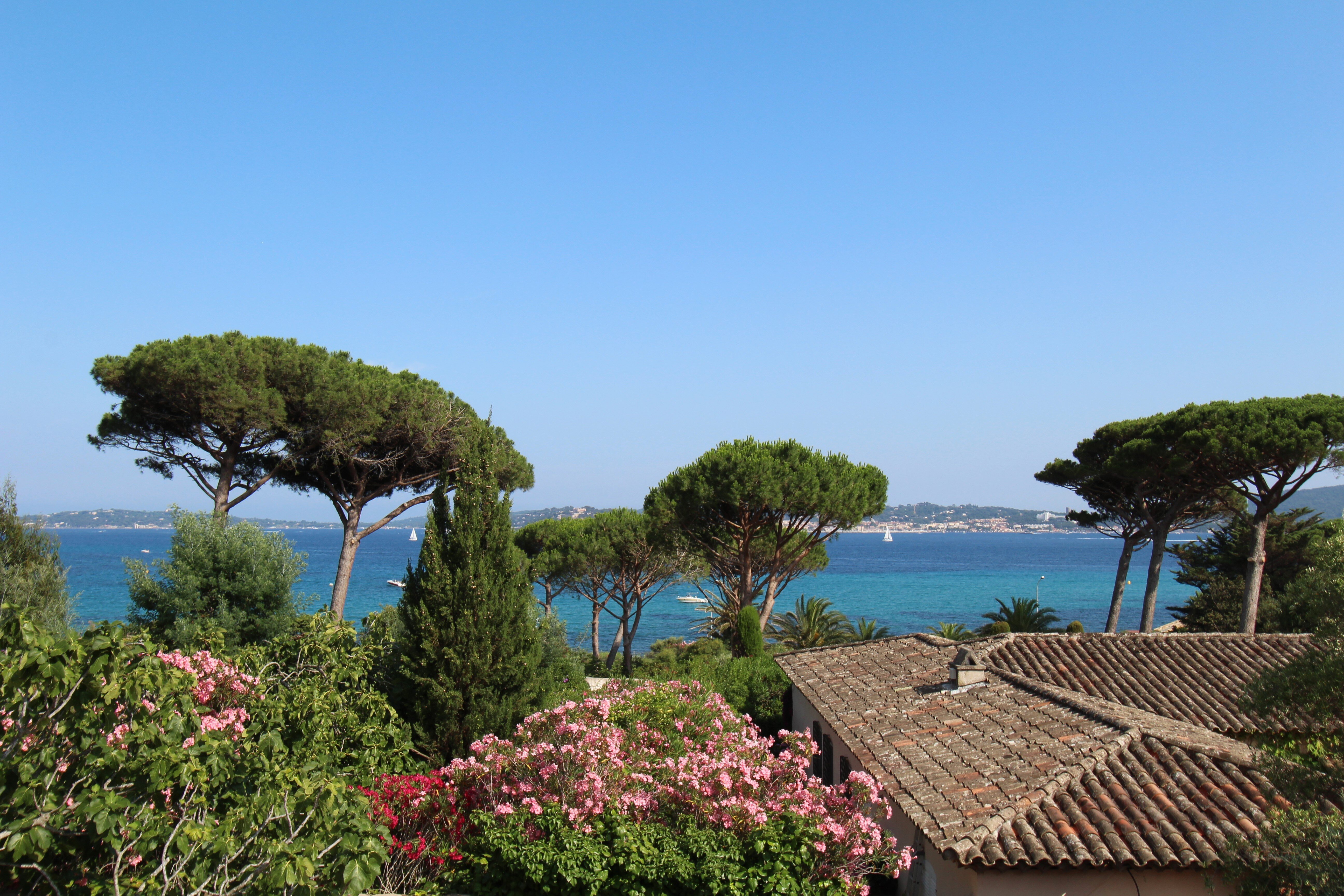 Villa Cecile - Image 4