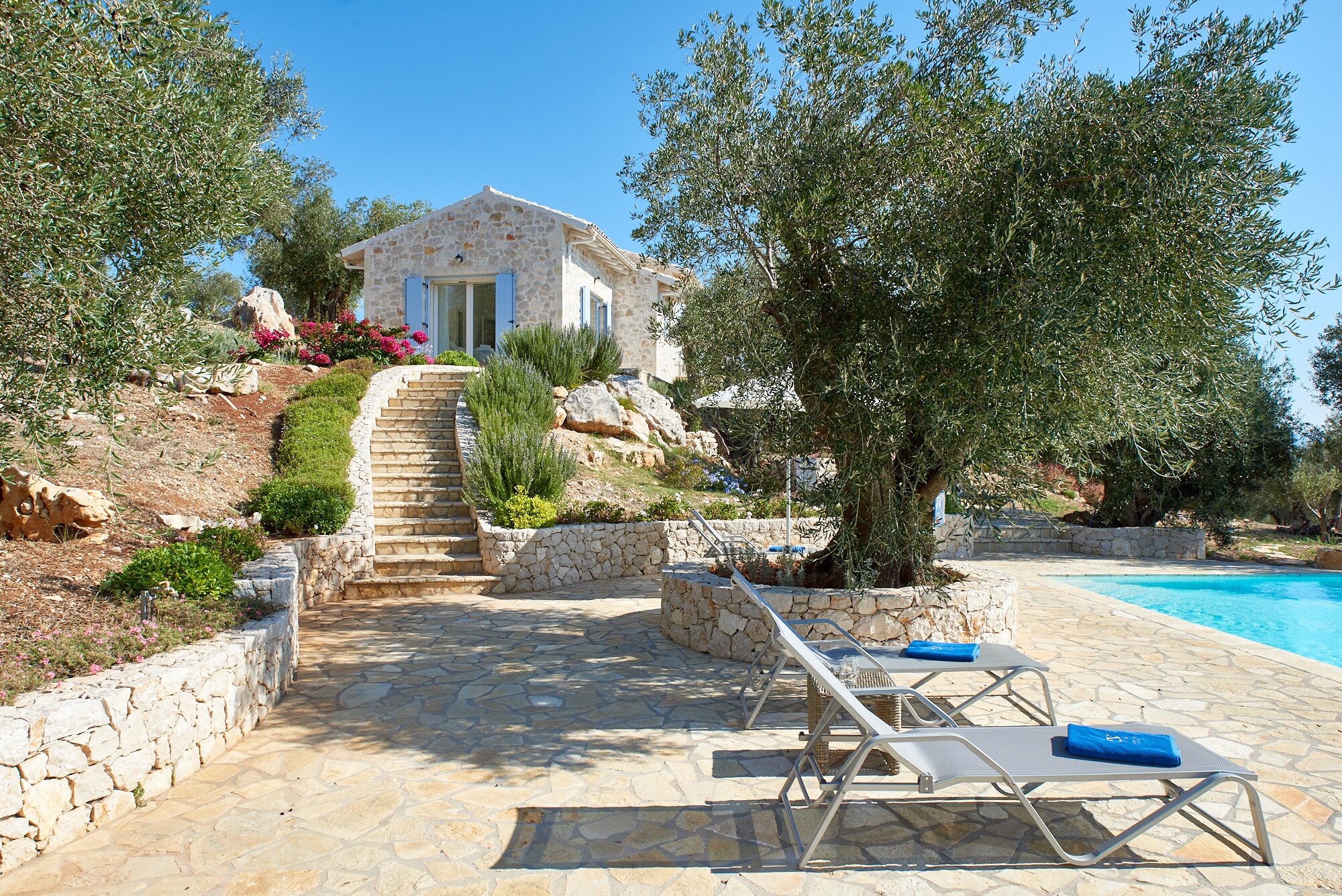 Yaneleni - Image 5