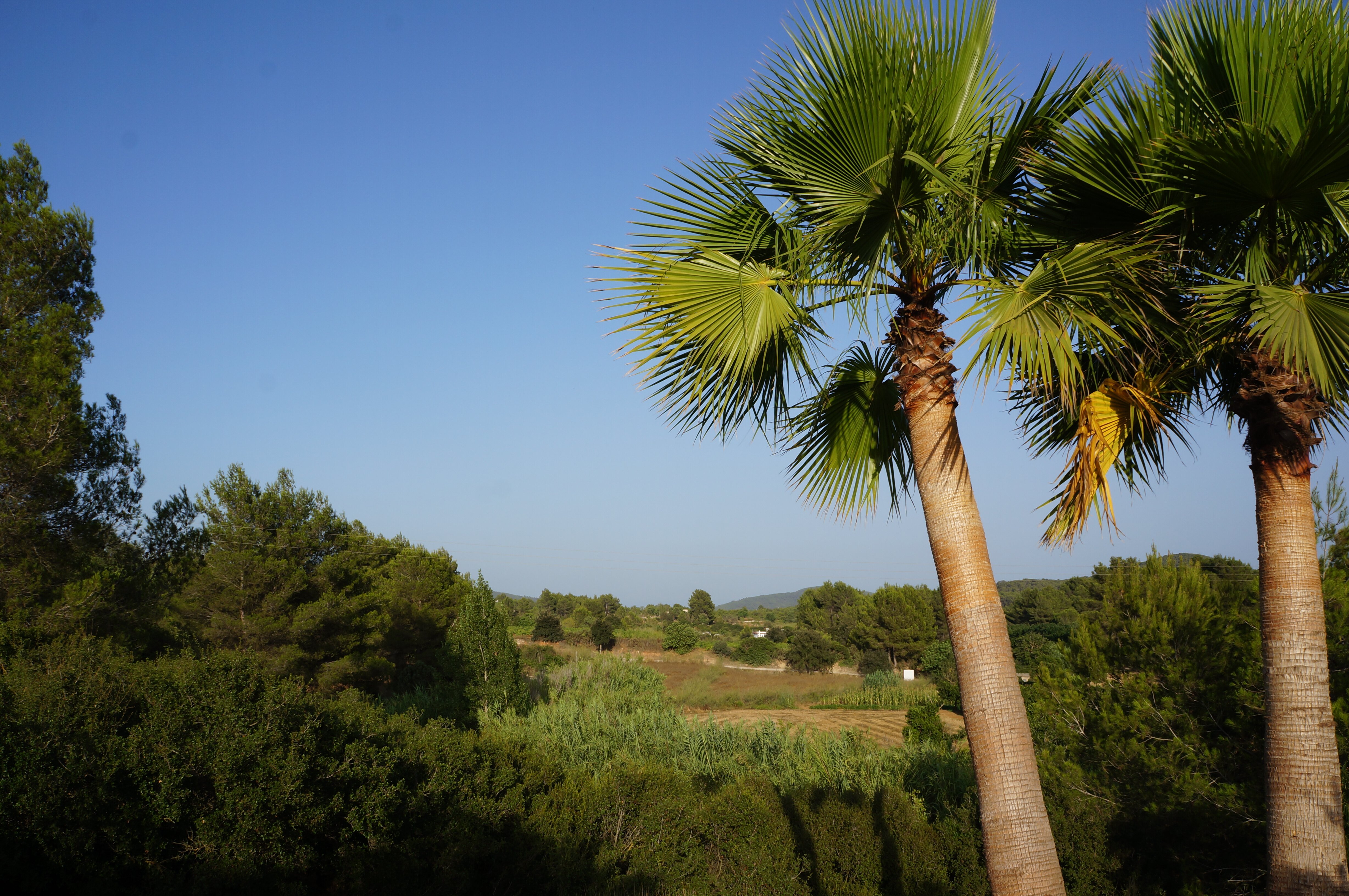 Ca'n Caliu - Image 16