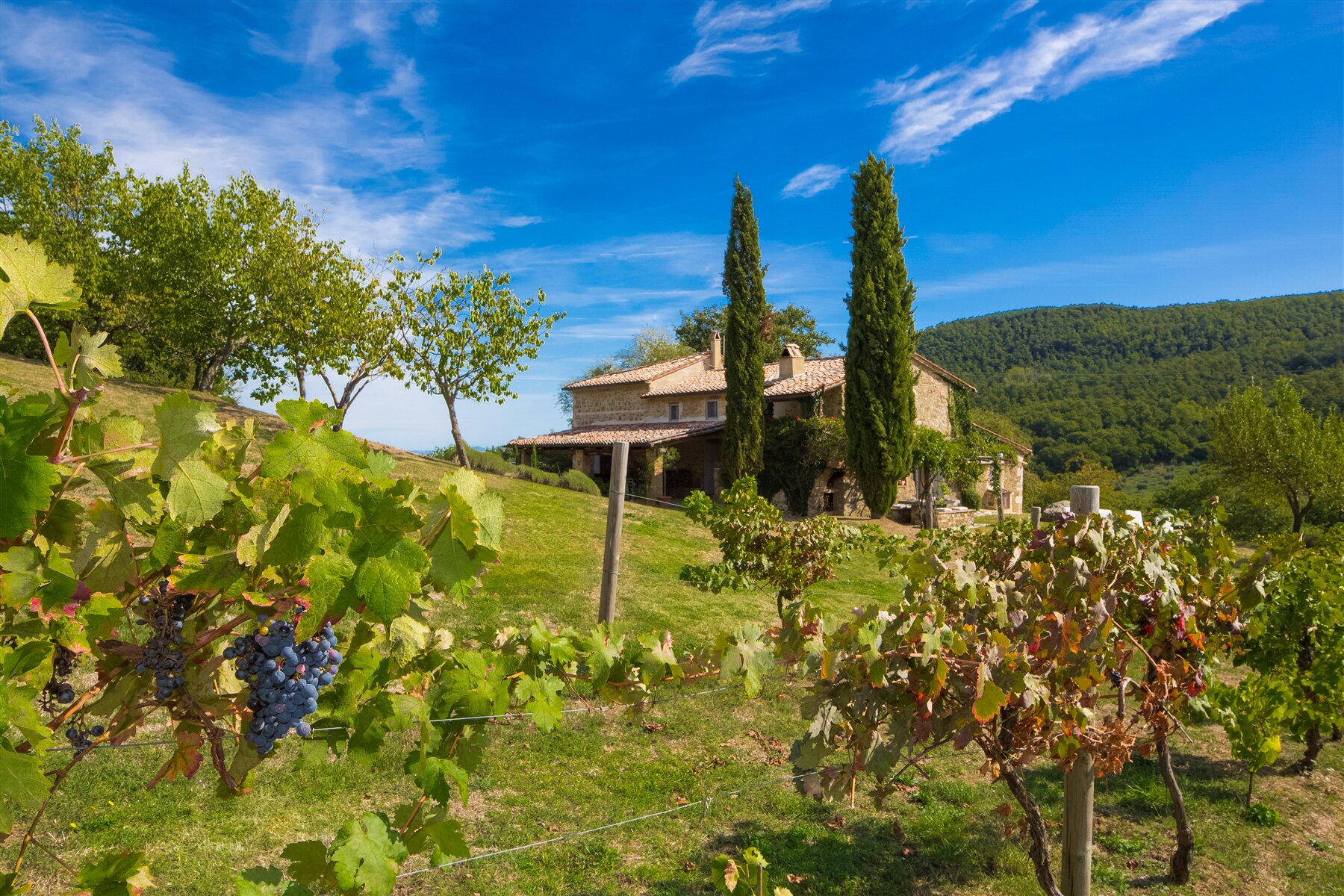 Podere dei Bagni - Image 3