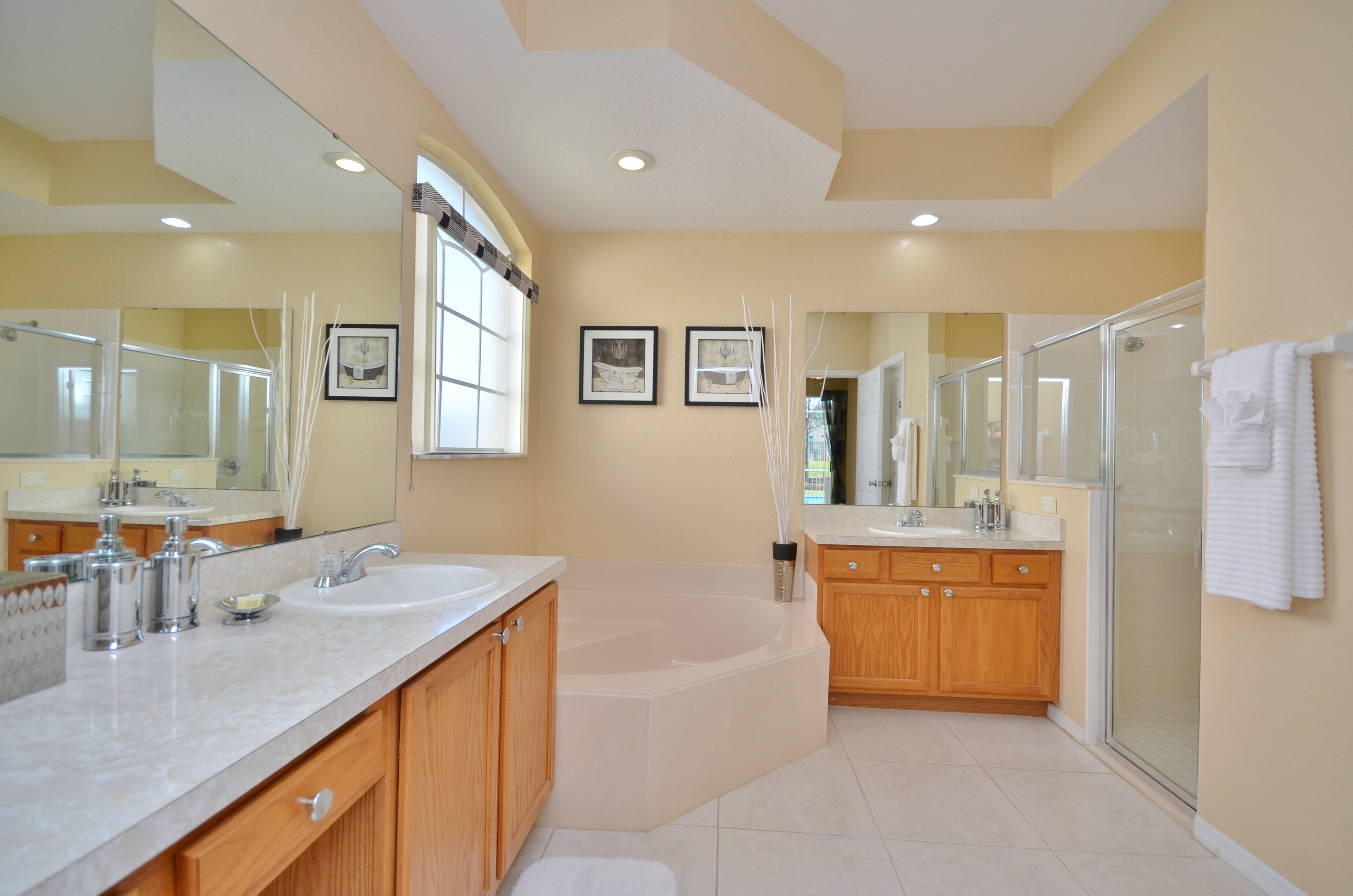 White Orchid - Image 8